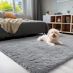 OLANLY 3x5 Machine Washable Small Bedside Rug, Soft Fluffy Shaggy Rugs for Living Room, Bedroom, Indoor Floor Carpet for Kids Girls and Boys, Preppy Dorms, Nursery, Home Decor Aesthetic, Light Grey
