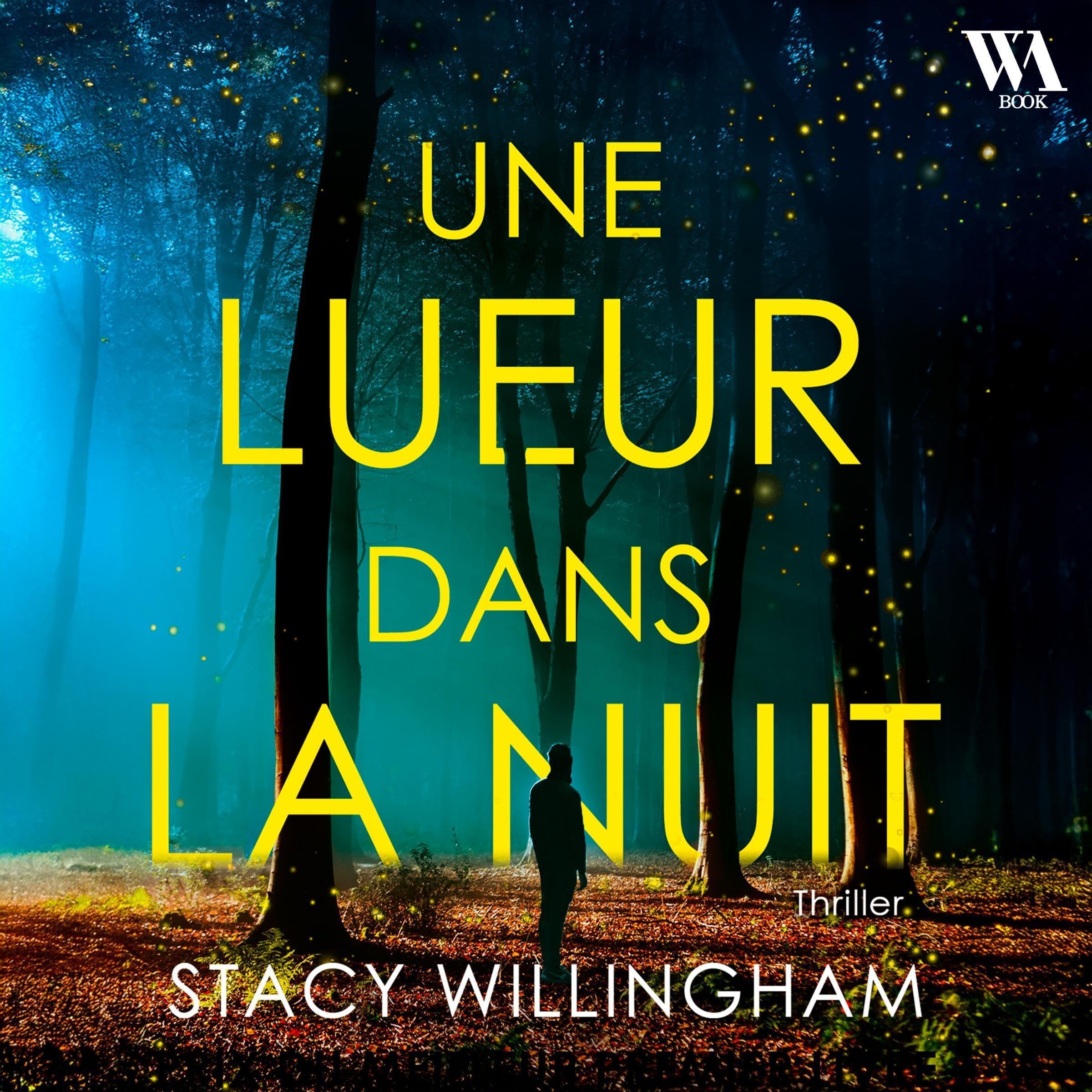 Une lueur dans la nuit