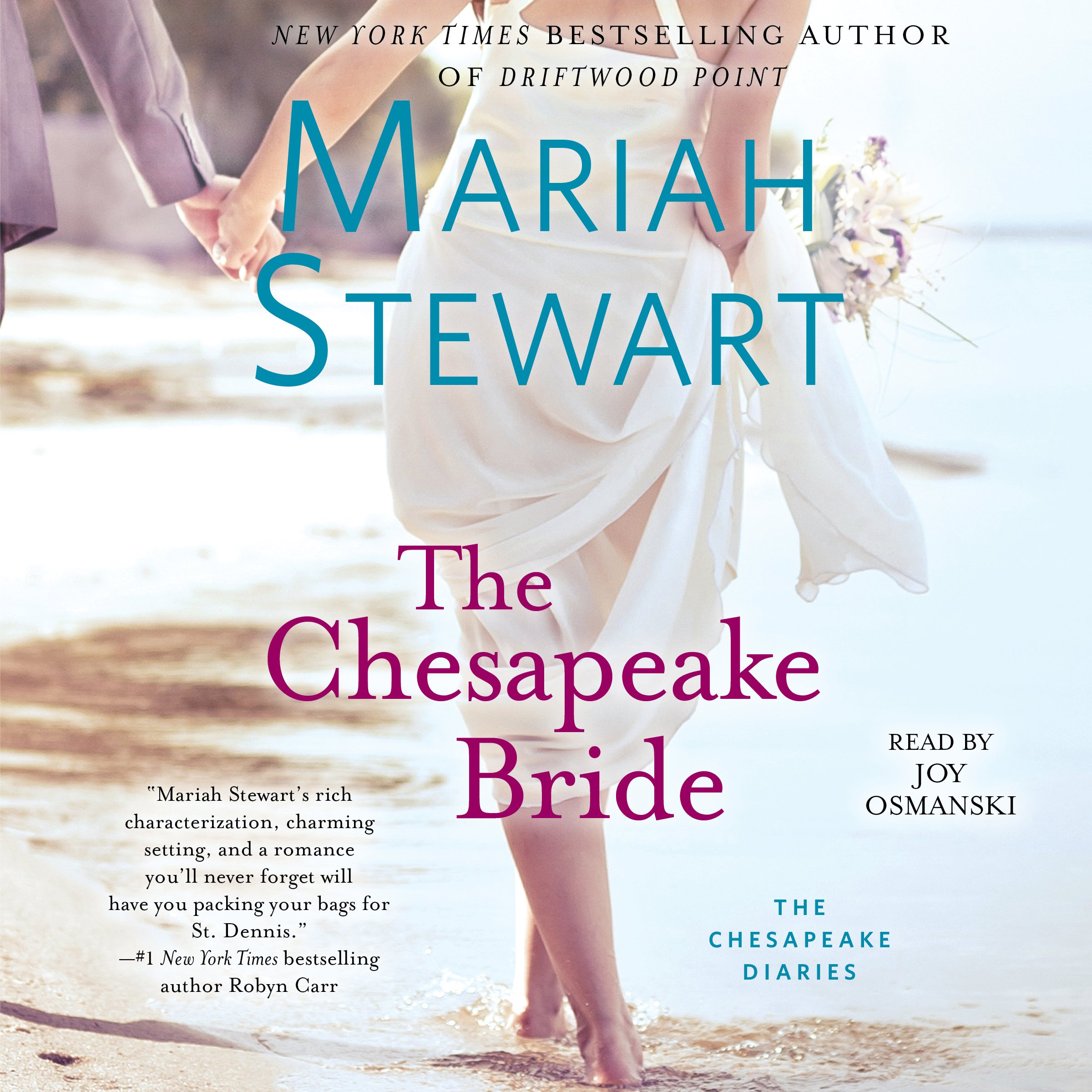 Cover art for The Chesapeake Bride