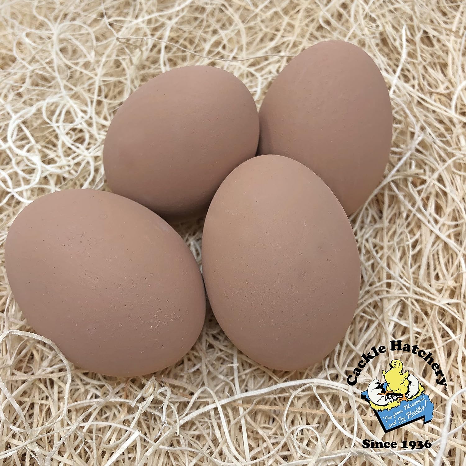 Cackle Hatchery Ceramic Nest Eggs (4ct) (4 Brown)