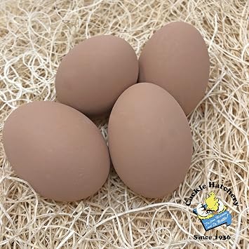 Ceramic Nest Eggs (4ct) (4 Brown)
