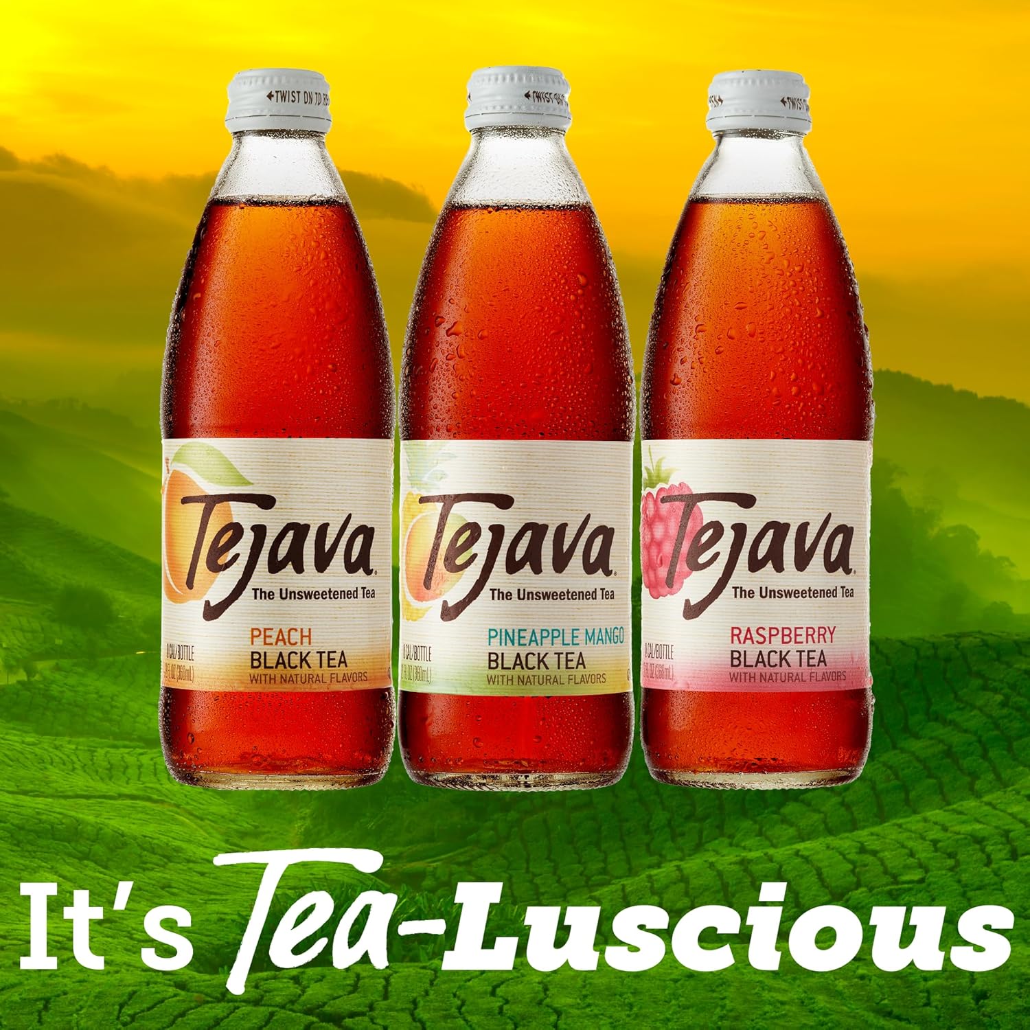 Tejava Black Tea Sampler, 12 ounce (12-Pack) Glass, Unsweetened, Peach, Raspberry and Pineapple-Mango, Ready-to-Drink Premium Iced Tea - Image 5