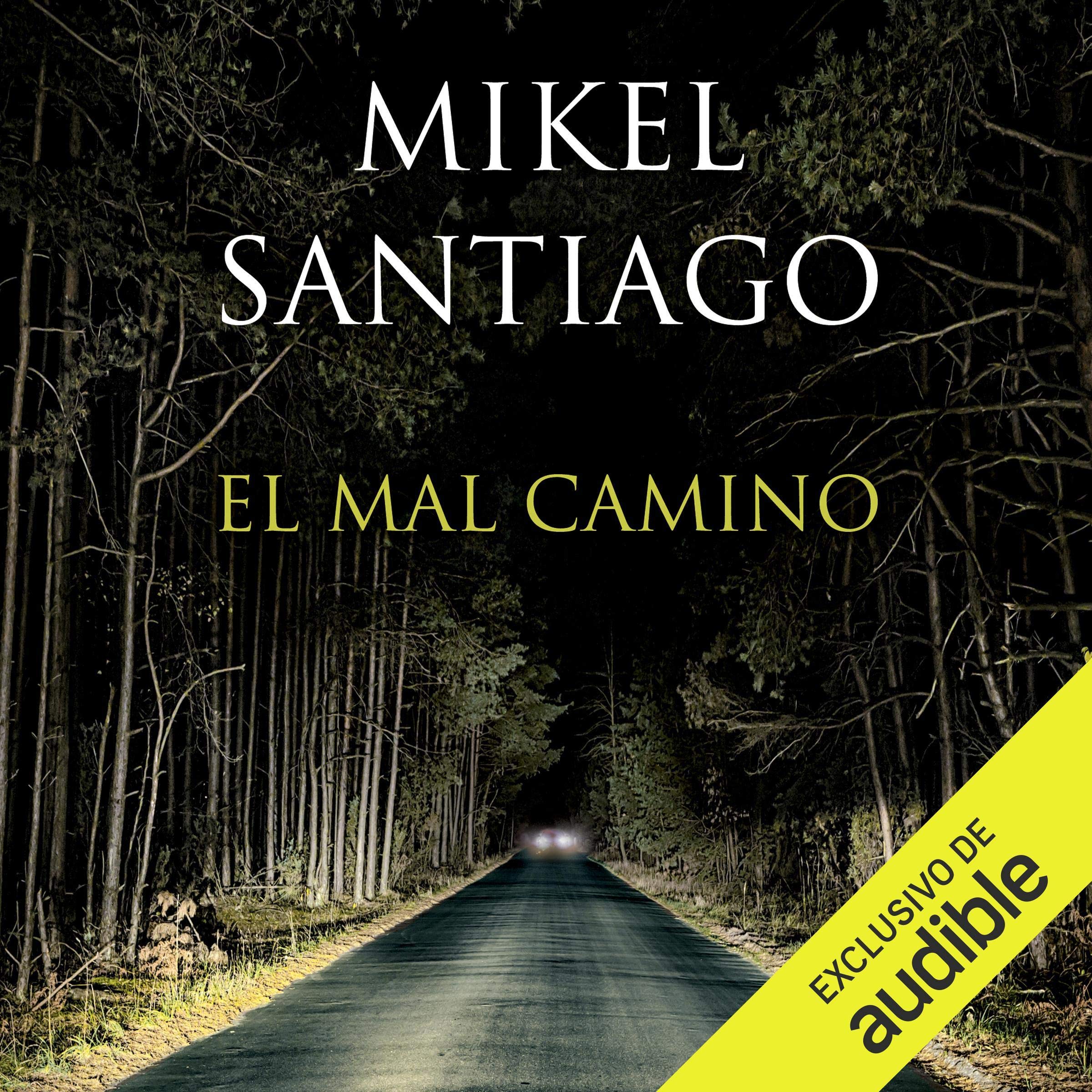 Cover art for El mal camino