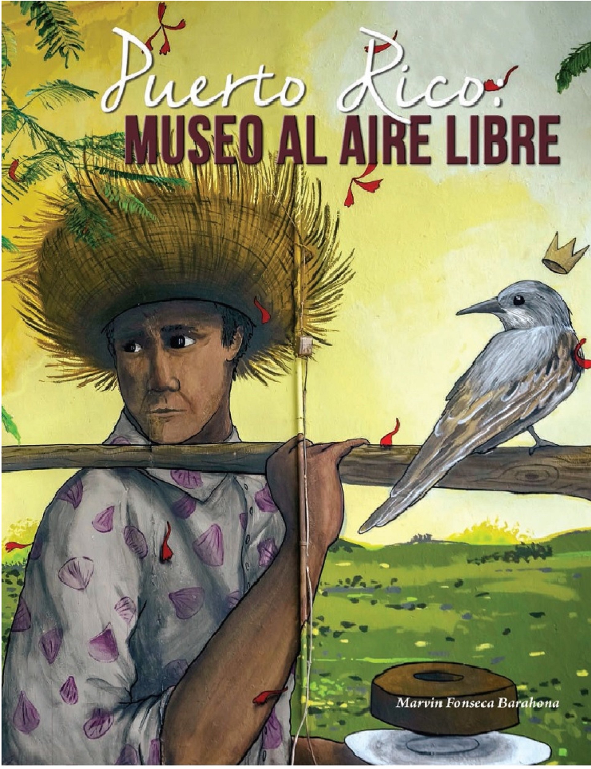 Puerto Rico Museo al Aire Libre beau livre voyage pour passionnés de culture