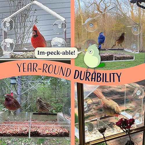Miniatura 4 de Natures Hangout - Comedero para pájaros con ventana Casa grande de pájaros para exteriores Bandeja deslizante extraíble y orificios de drenaje Ideal