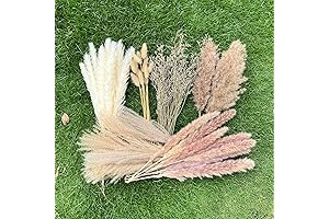 100Pcs Pampas Grass Boho Home Decor
