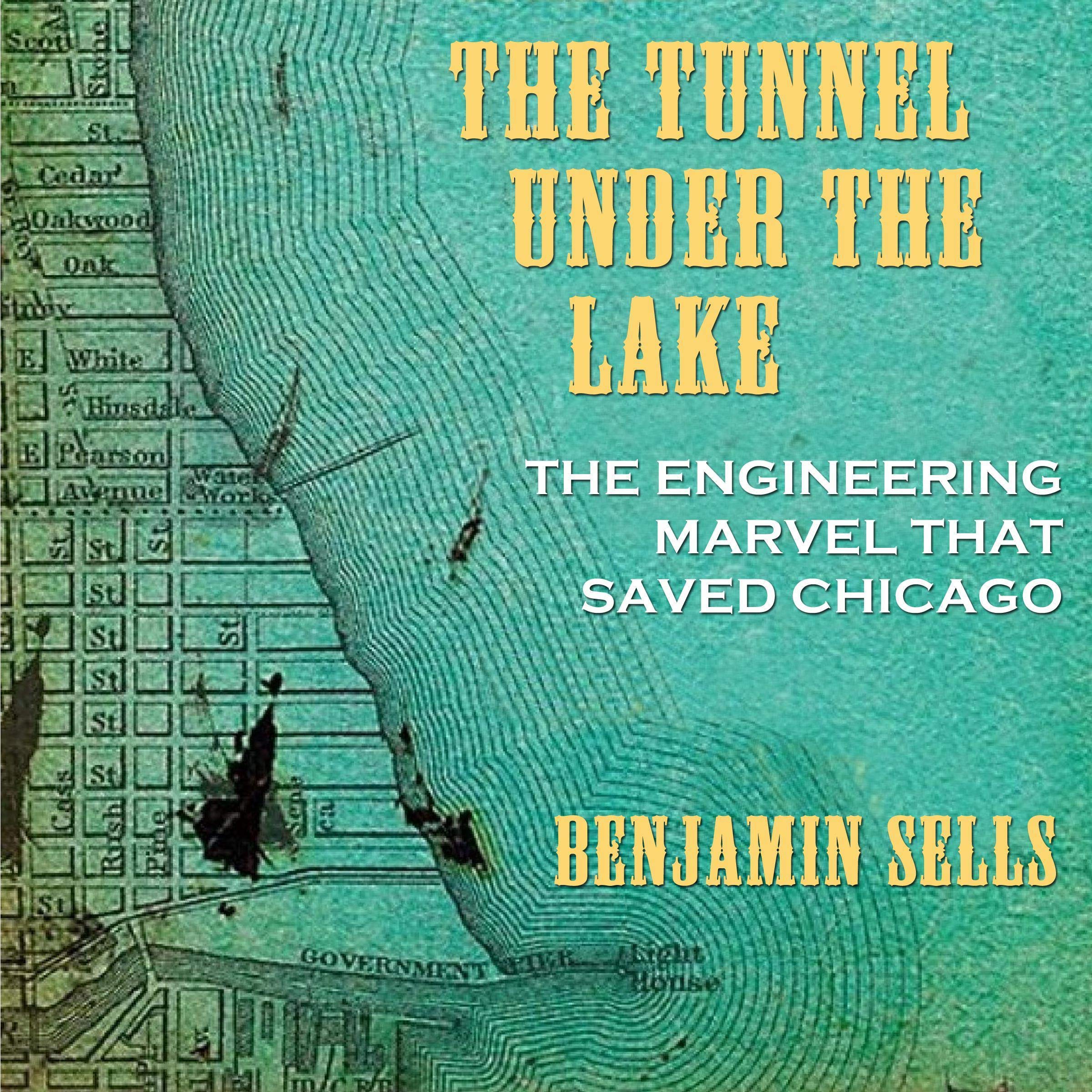 Cover art for The Tunnel Under the Lake