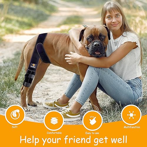 Vista 6 de Rodillera para perro para pierna trasera de ACL desgarrada, soporte ajustable para pierna trasera y pierna delantera, rodillera para perros