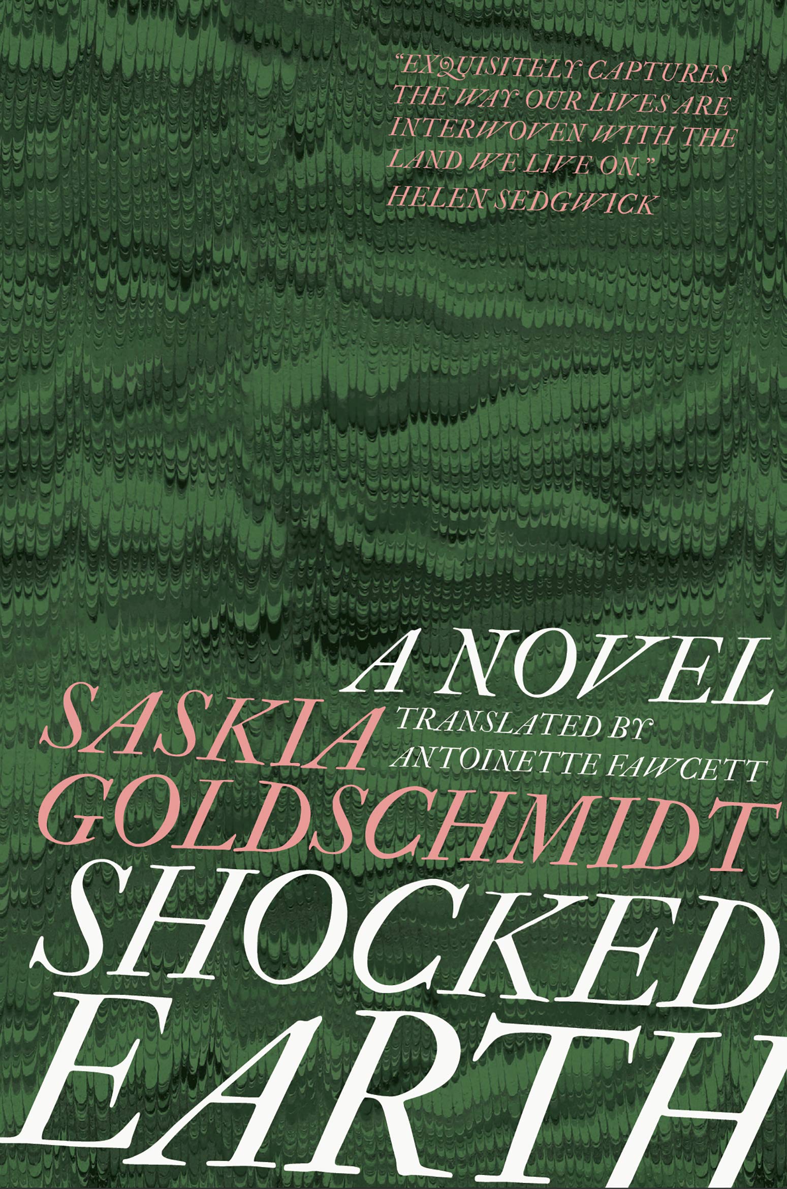Shocked Earth by Saskia Goldschmidt (Paperback Book)