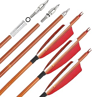 surwolf 31Inch Carbon Arrow Practice Target Arrows with 4