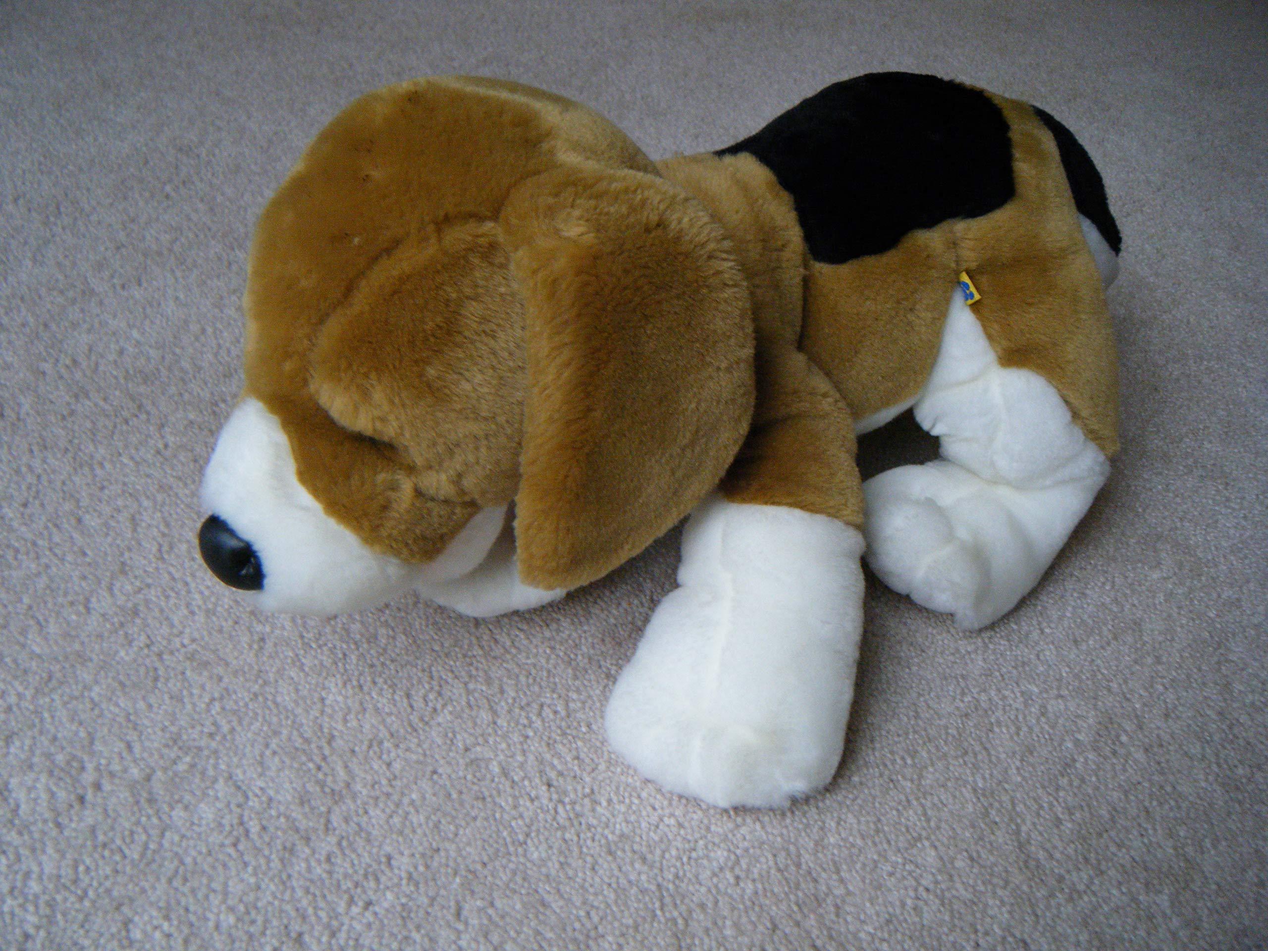 beagle in teddy bear