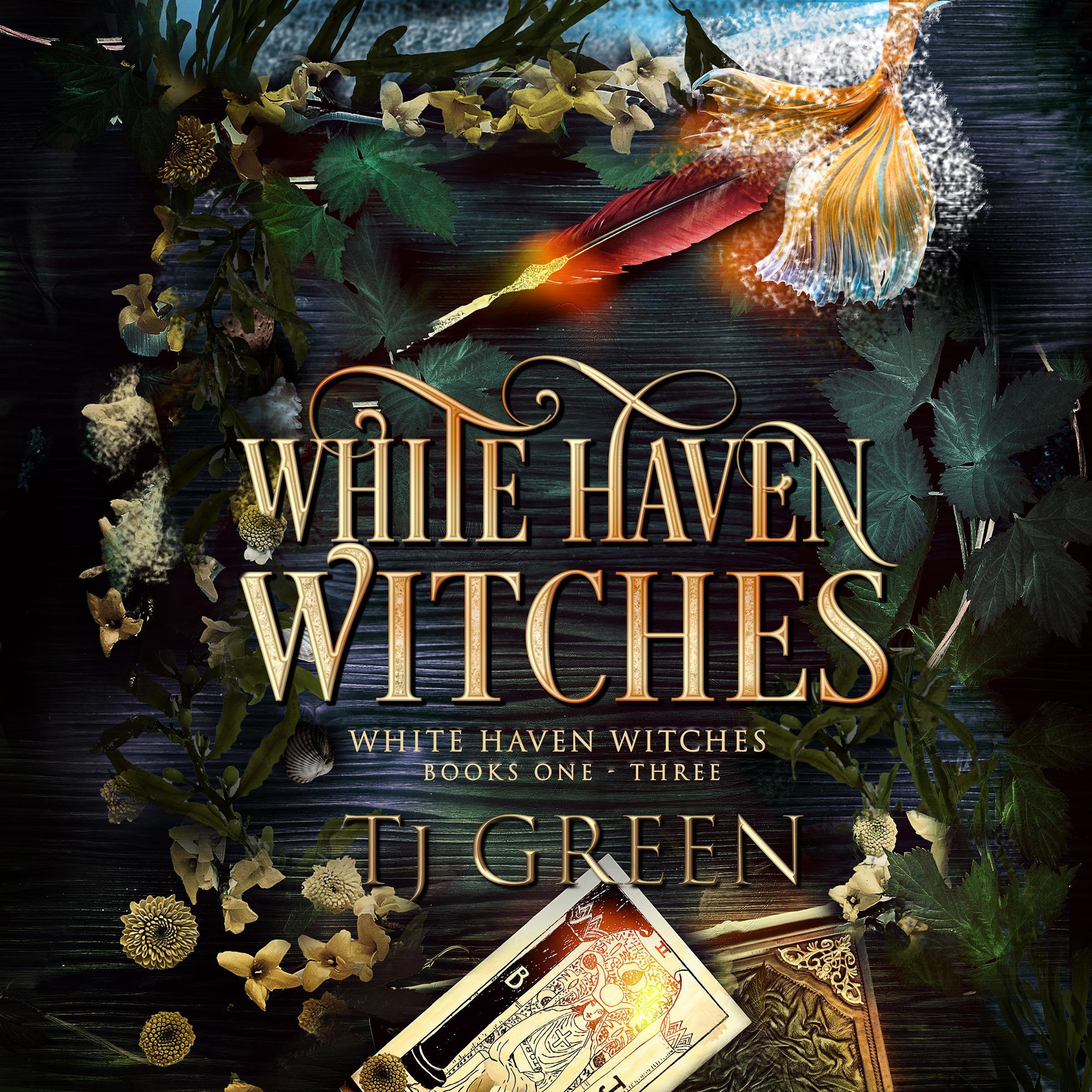 Cover art for White Haven Witches, Books 1-3
