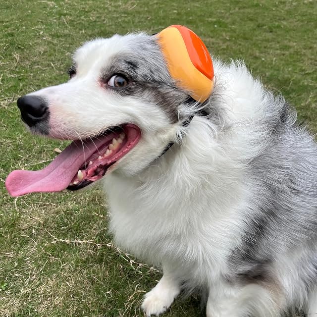 Foto 3 de 6 de derYEP Orejeras para perro GEN2 para protección auditiva, 30 dB NRR, protección contra el ruido (mediana