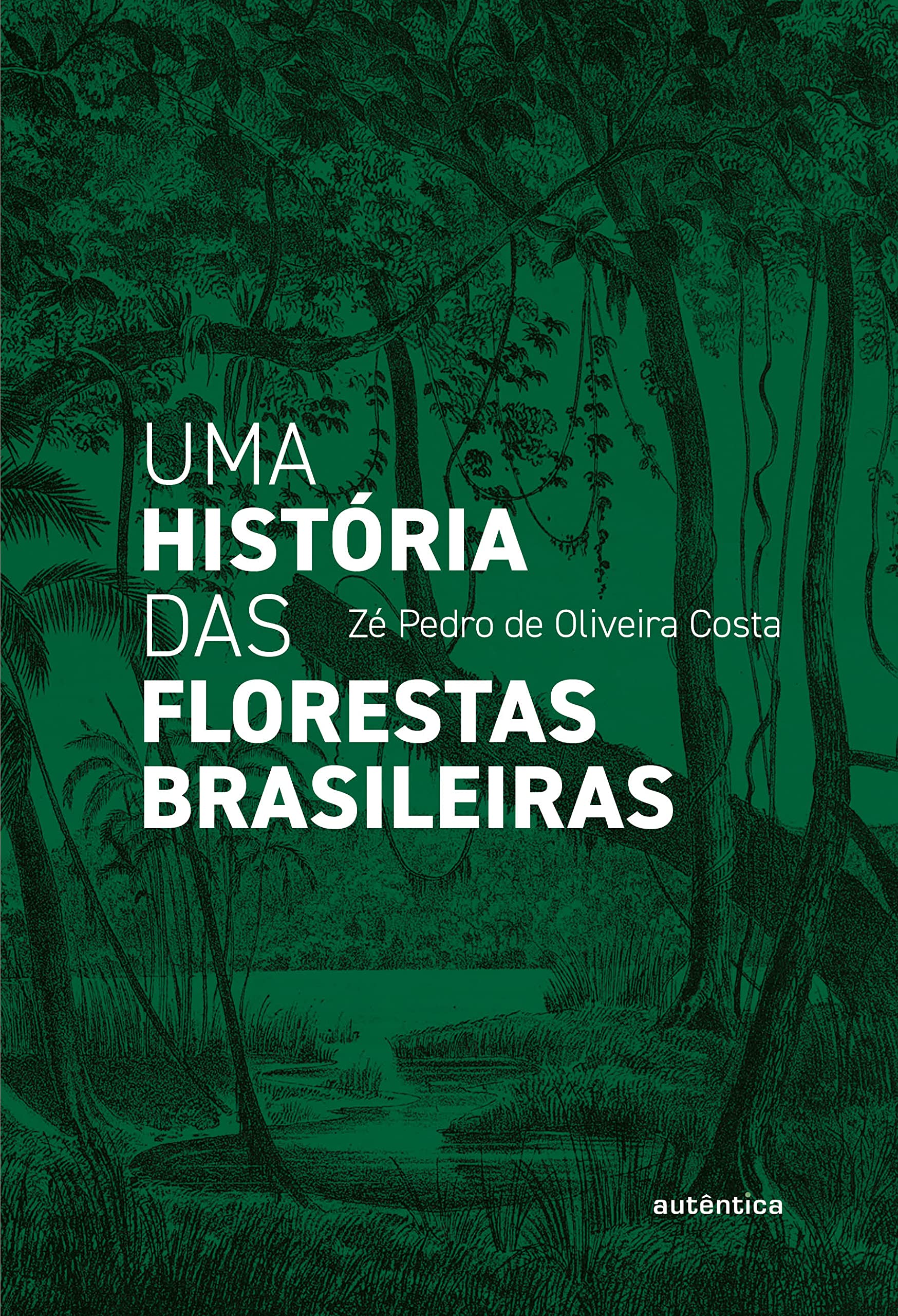 História das florestas brasileiras