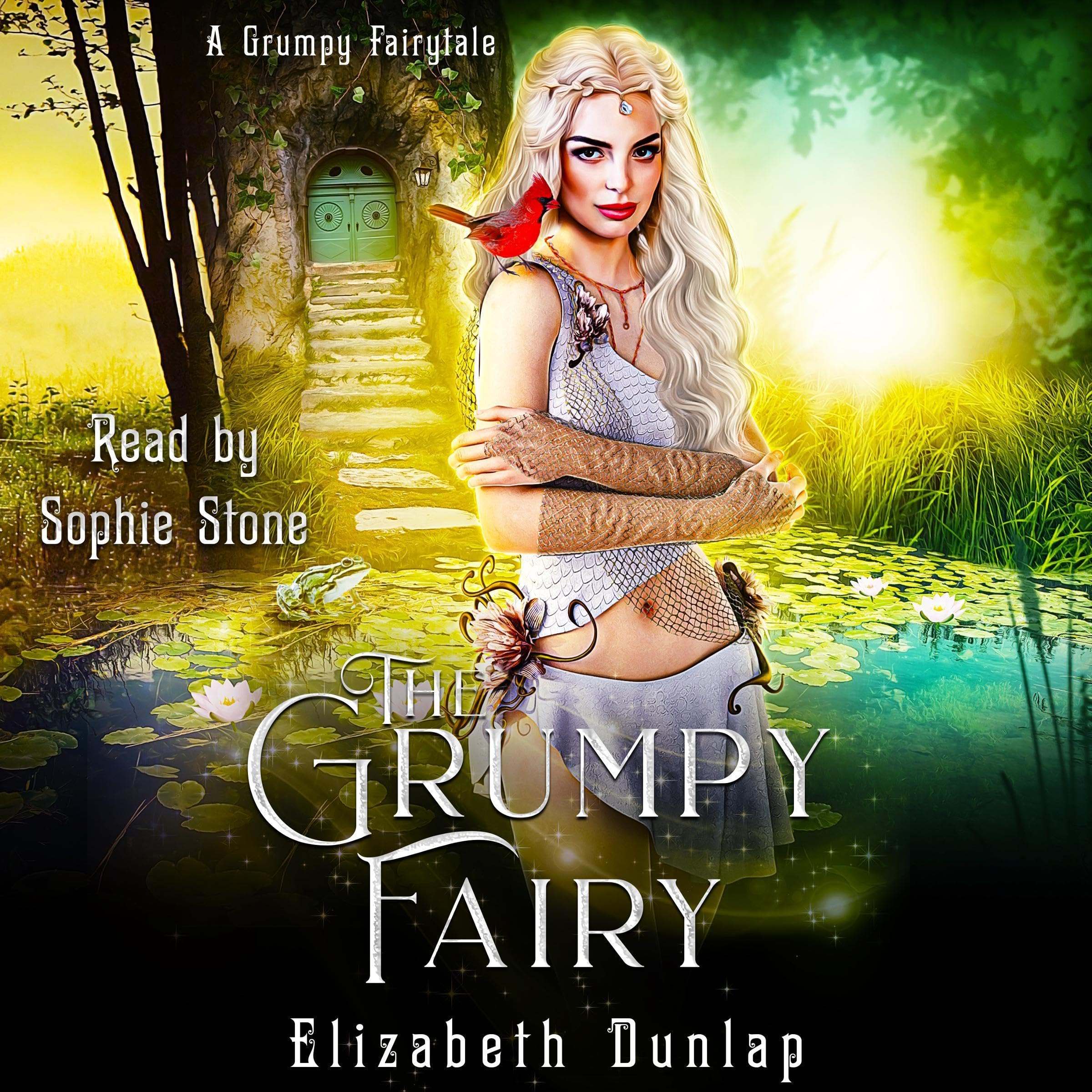 Cover art for The Grumpy Fairy