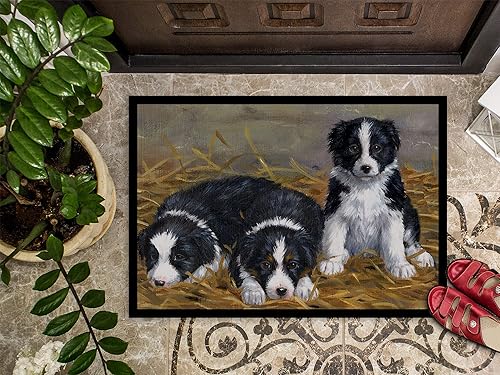 Miniatura 3 de Caroline's Treasures ASA2196MAT Border Collie - Tapete para puerta delantera, 18 x 27 pulgadas, para interiores y exteriores, para entrada,