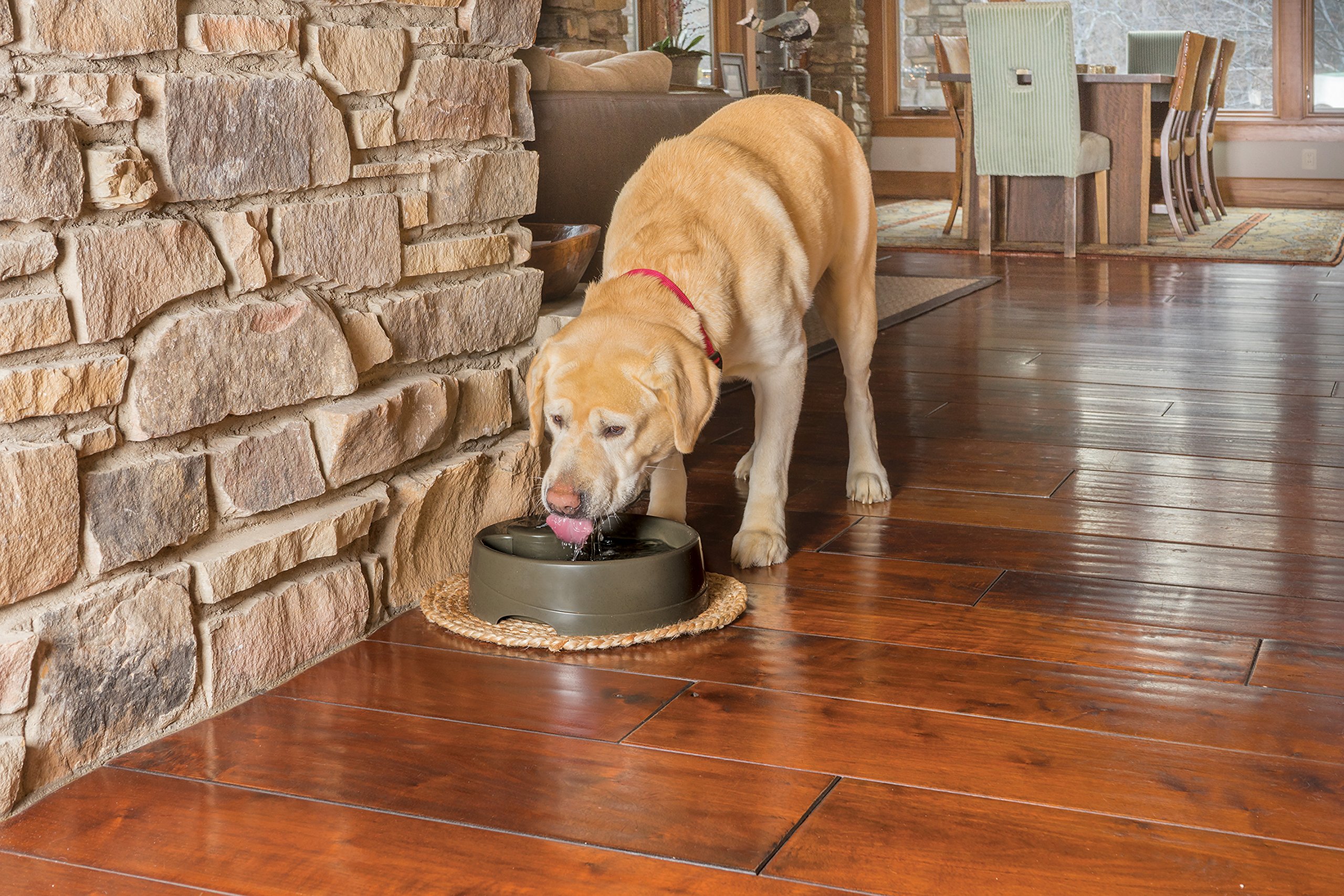 PetSafe Fuente para Perros y Gatos con Corriente, Agua Filtrada, Filtro para Olores, Apto para Lavavajillas, Sin BPA, L - Drinkwell