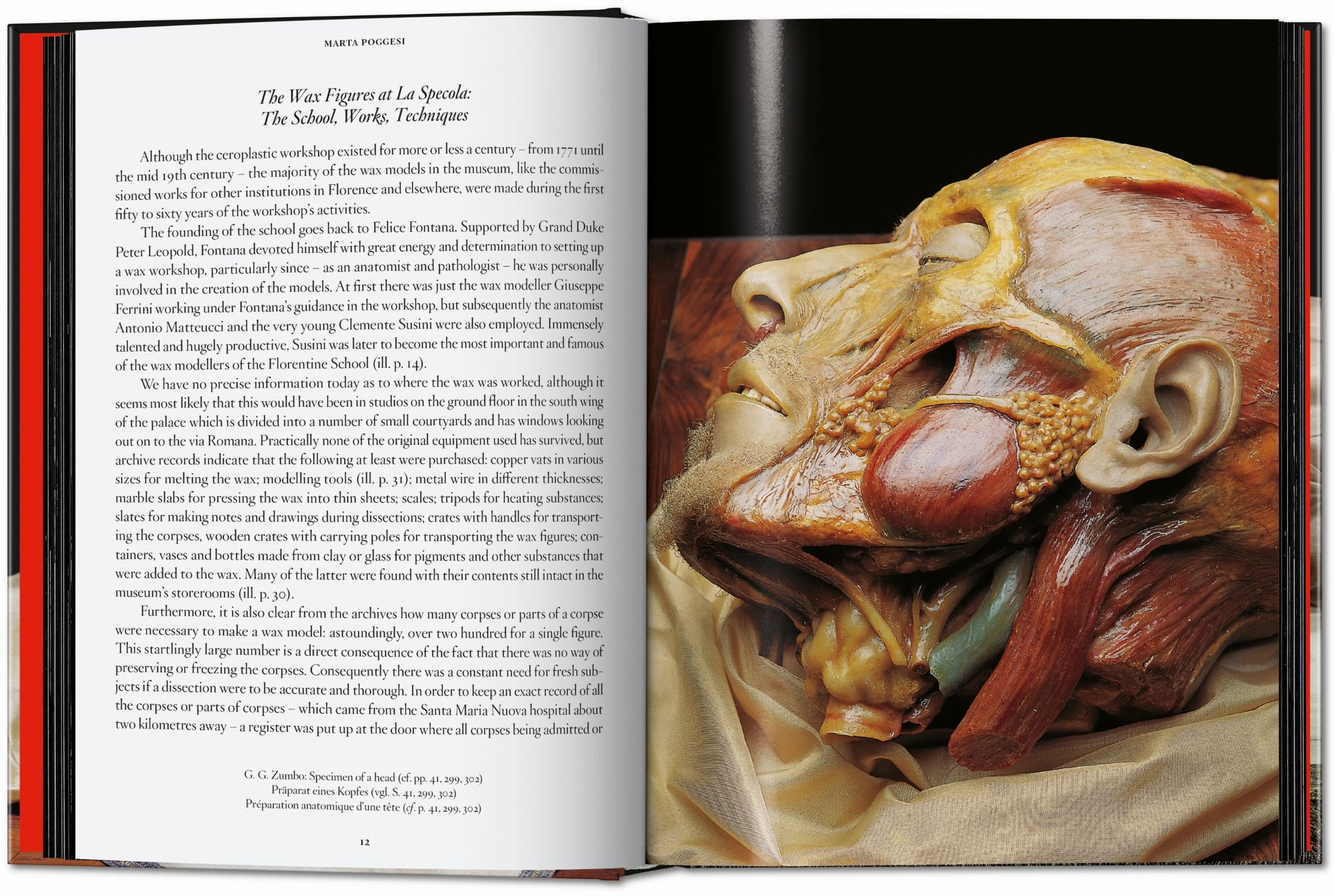 Anatomical Waxes. 45th Ed. (45th Edition)
