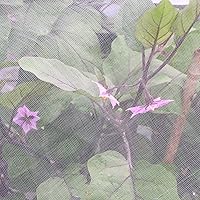 Vista 6 de Red de malla de jardín de 30 x 10 pies, barrera de plagas para pájaros, malla ultra fina para jardín, camas elevadas, plantas de patio, protección