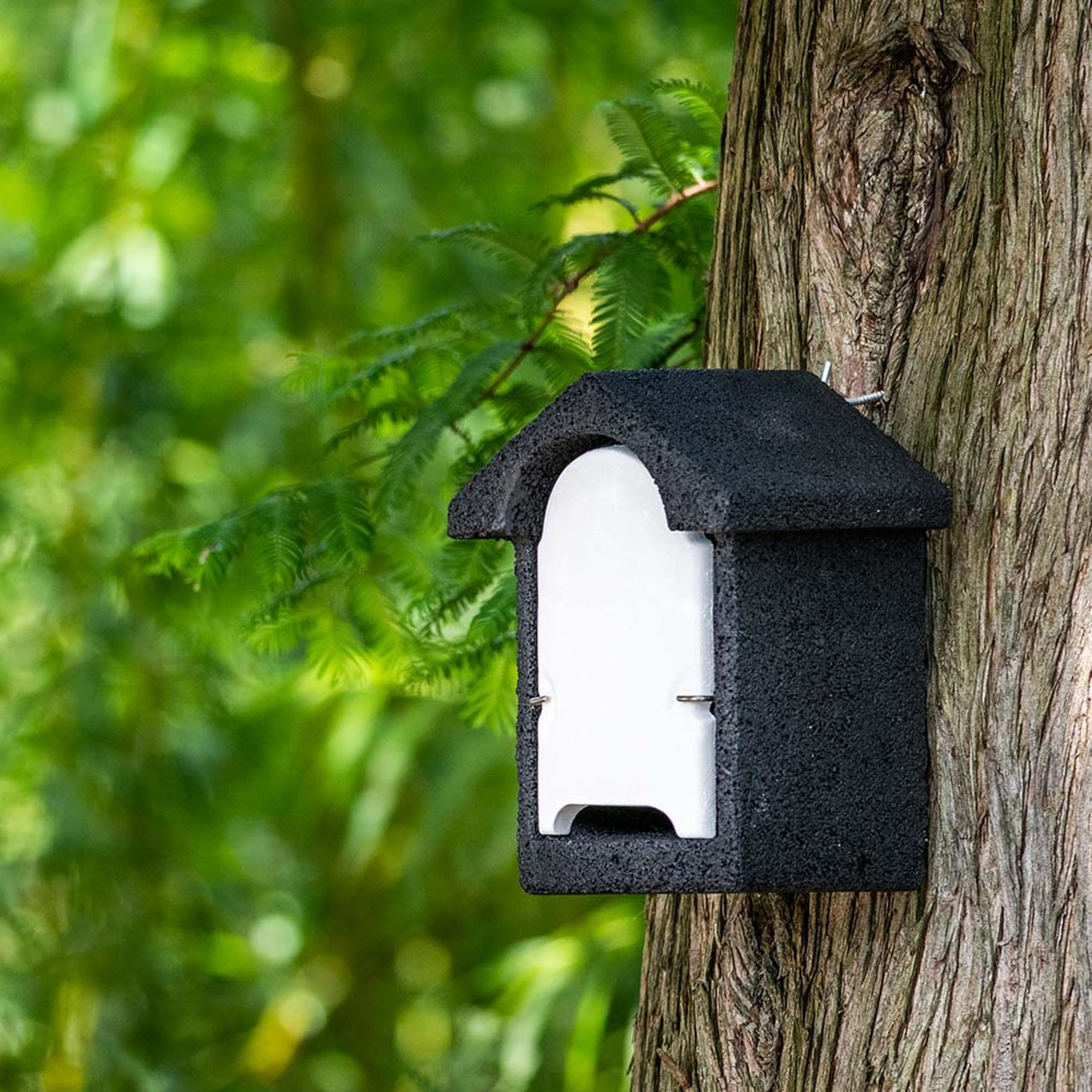 CJ Wildlife Nichoir Chauve Souris – Maison Chauve Souris Extérieur – Bois FSC® 100% – Abri Chauve Souris Extérieur