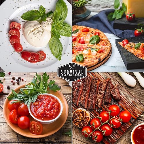 Miniatura 5 de Paquete de 2 semillas de tomate Tiny Tim para plantar con instrucciones para cultivar en tu huerto casero, reliquia sin OMG Survival Garden Seeds