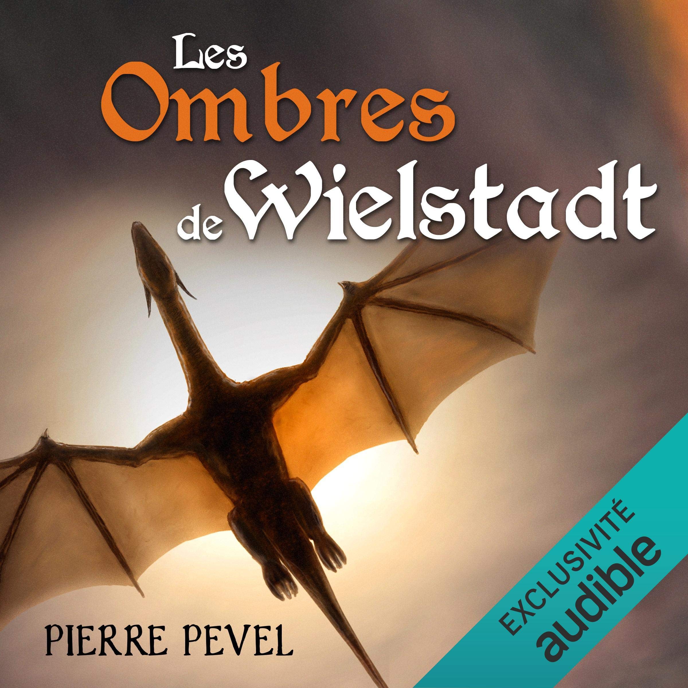 Cover art for Les Ombres de Wielstadt