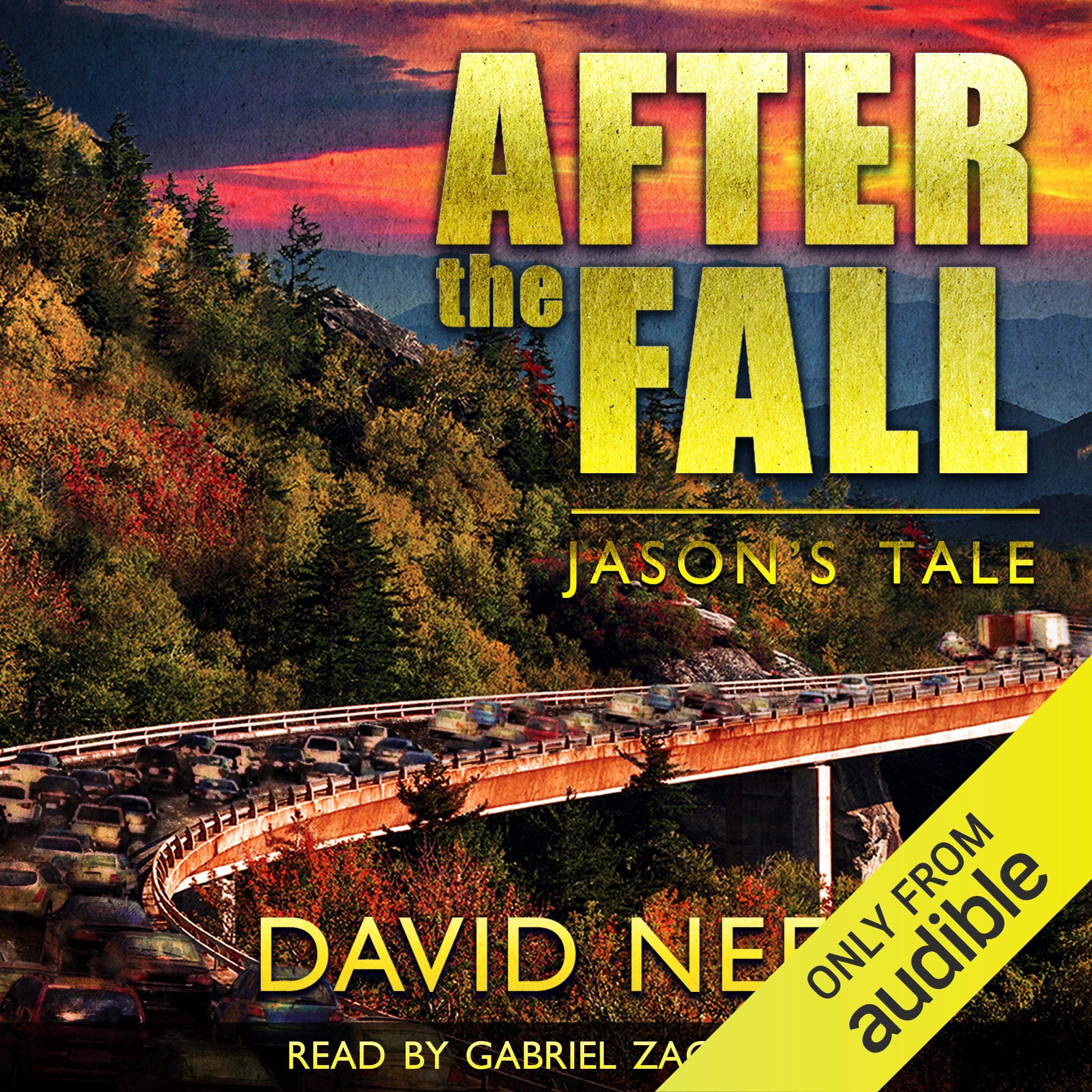 Cover art for After the Fall