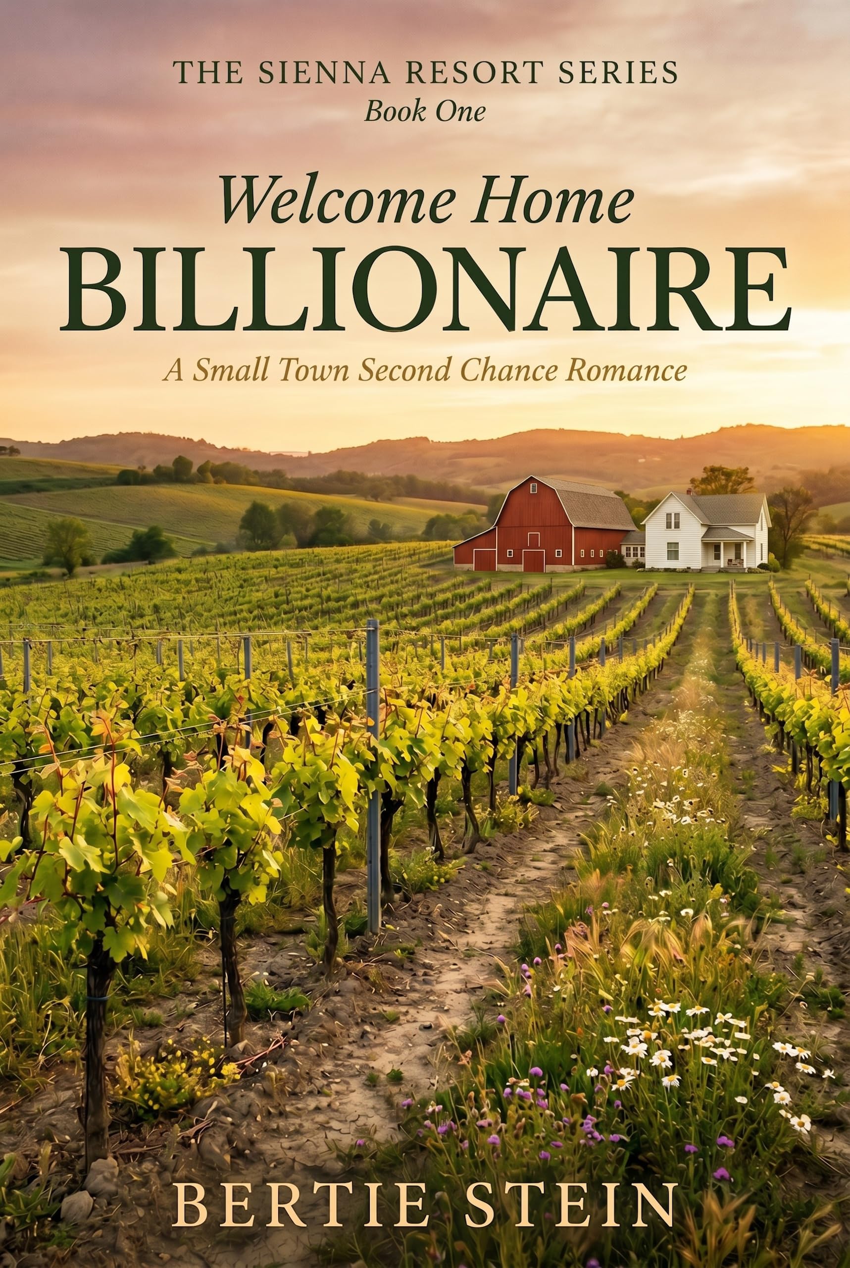Welcome Home Billionaire (The Sienna Resort Series Book 1)
