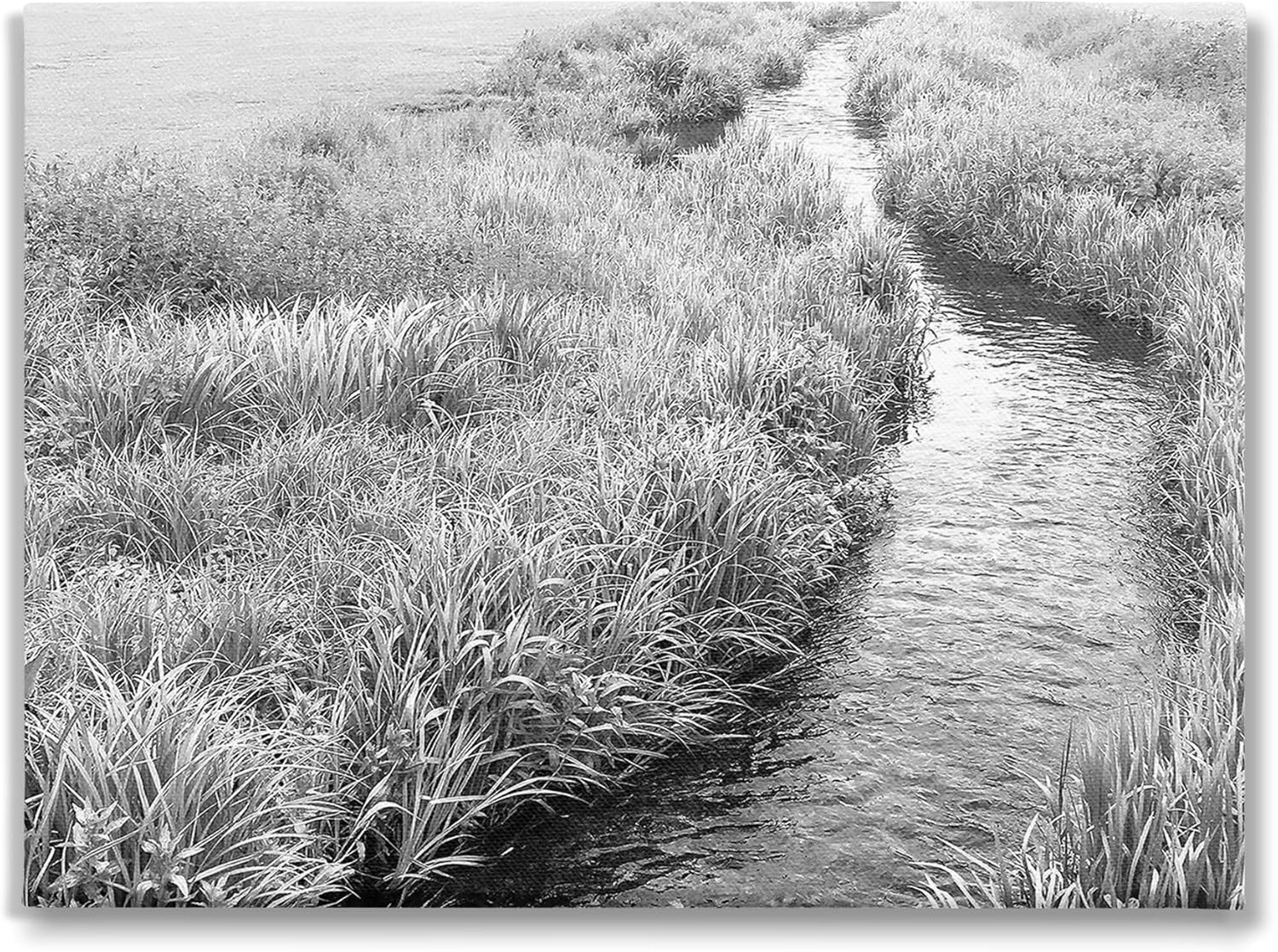 Stupell Industries Flowing Beach Canal Canvas Wall Art by Sarah Jane