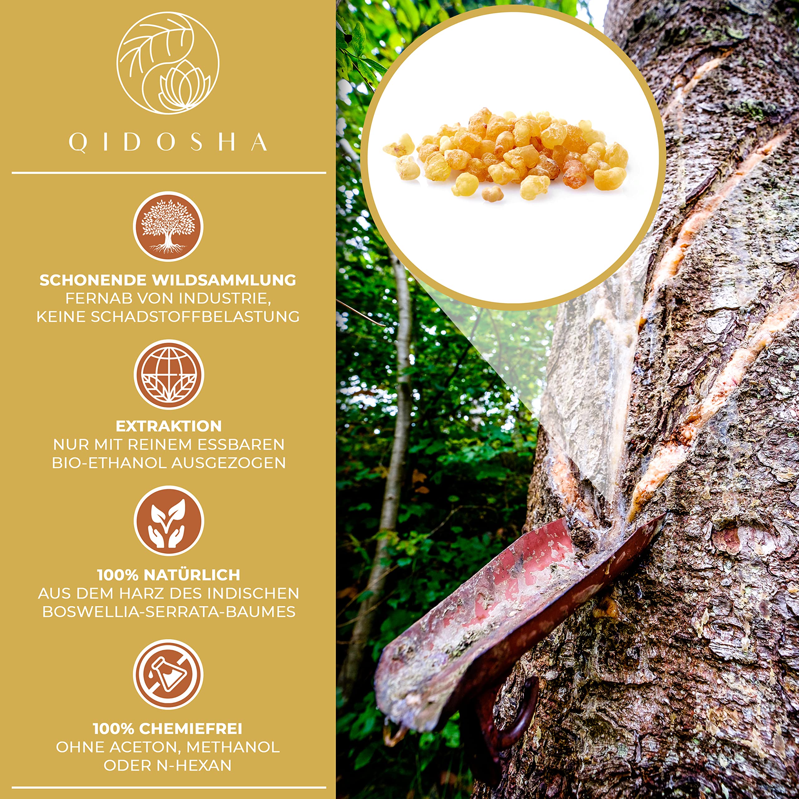 QIDOSHA® Boswellia serrata Weihrauchkapseln hochdosiert, TESTSIEGER 08/23*, 270 Stk/Glas, 85% Boswellia-Säure, 500mg Weihrauch Extrakt/Kapsel, Weihrauch Kapseln hochkonzentriert