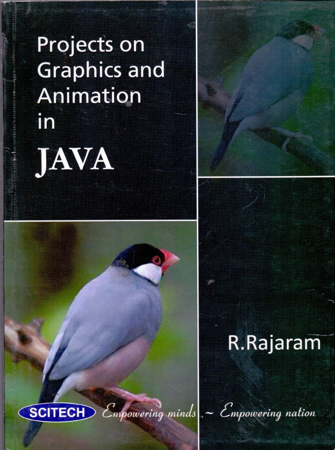 Projects on Graphics and Animation in Java : Rajaram: Amazon.in: Books