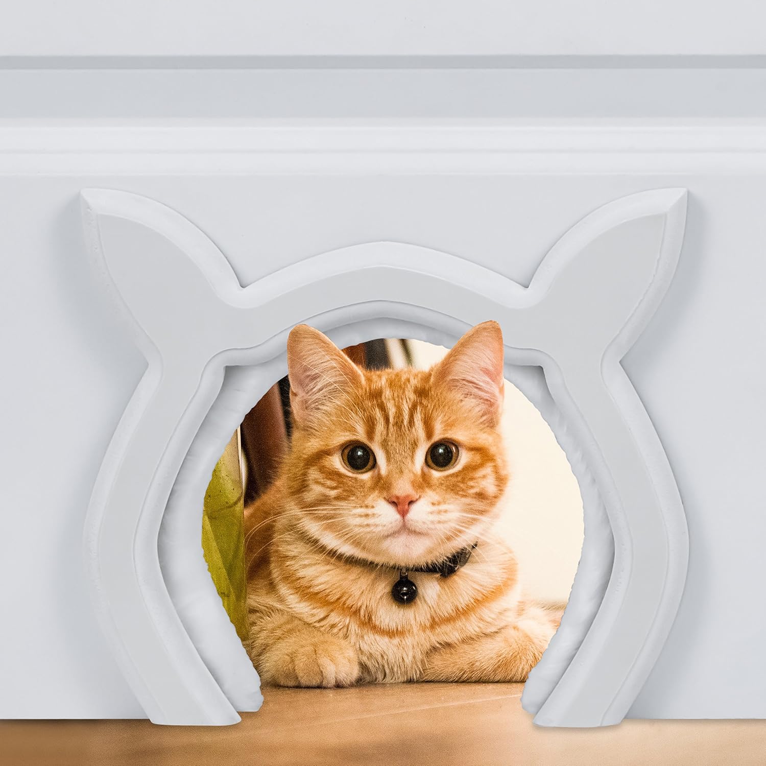 pet cat door