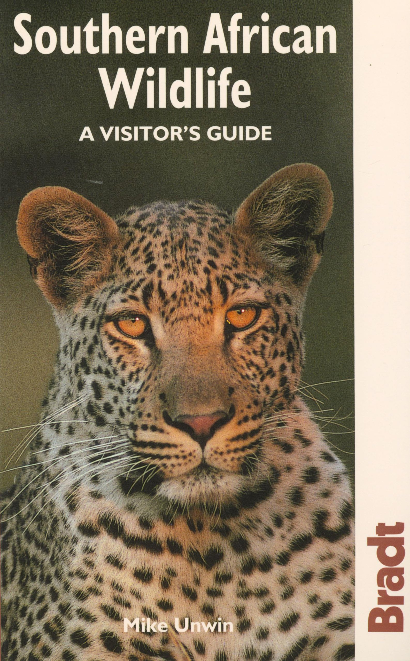 Southern African Wildlife: A Visitor's Guide (Bradt Travel Guides (Wildlife Guides))