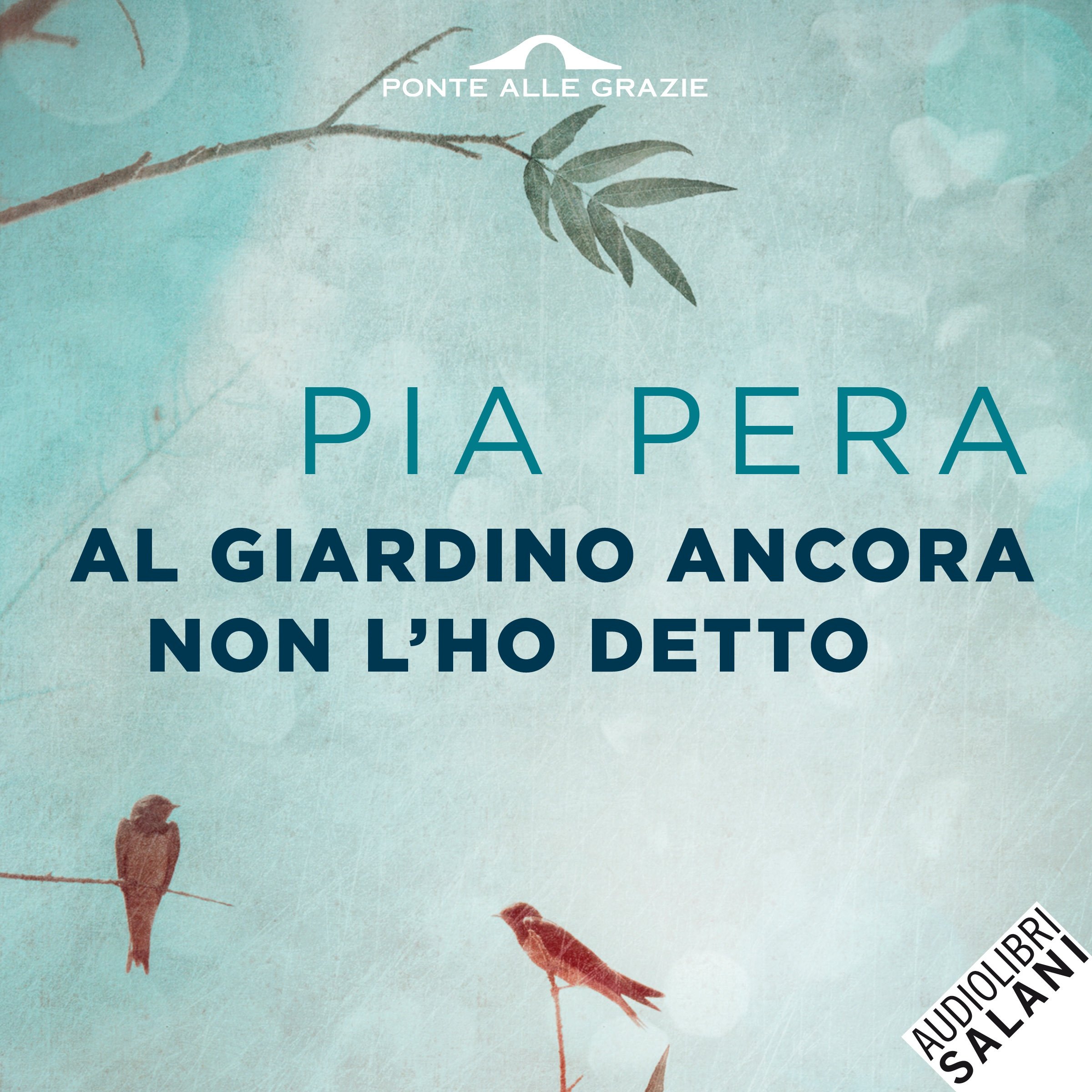 Cover art for Al giardino ancora non l'ho detto