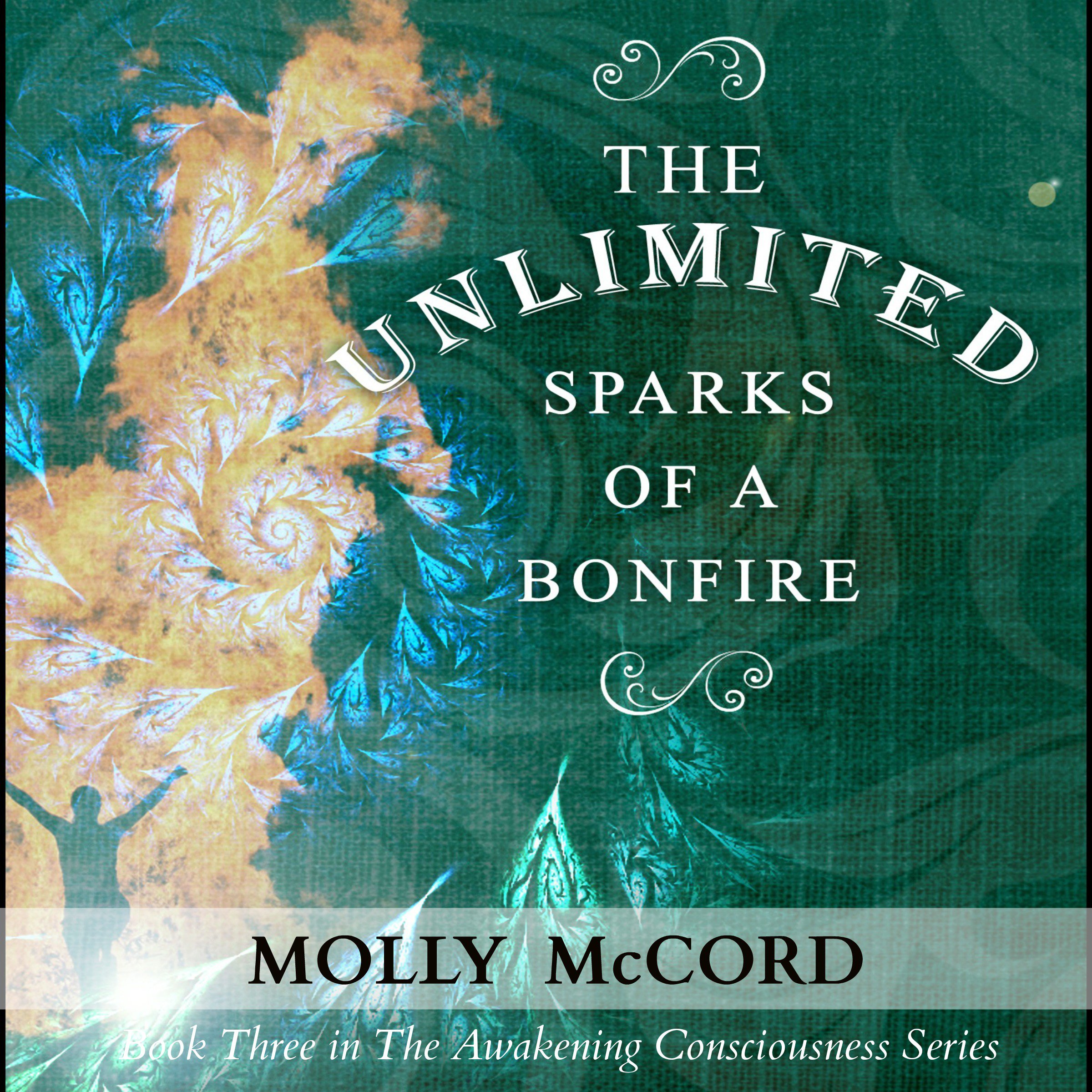 Cover art for The Unlimited Sparks of a Bonfire