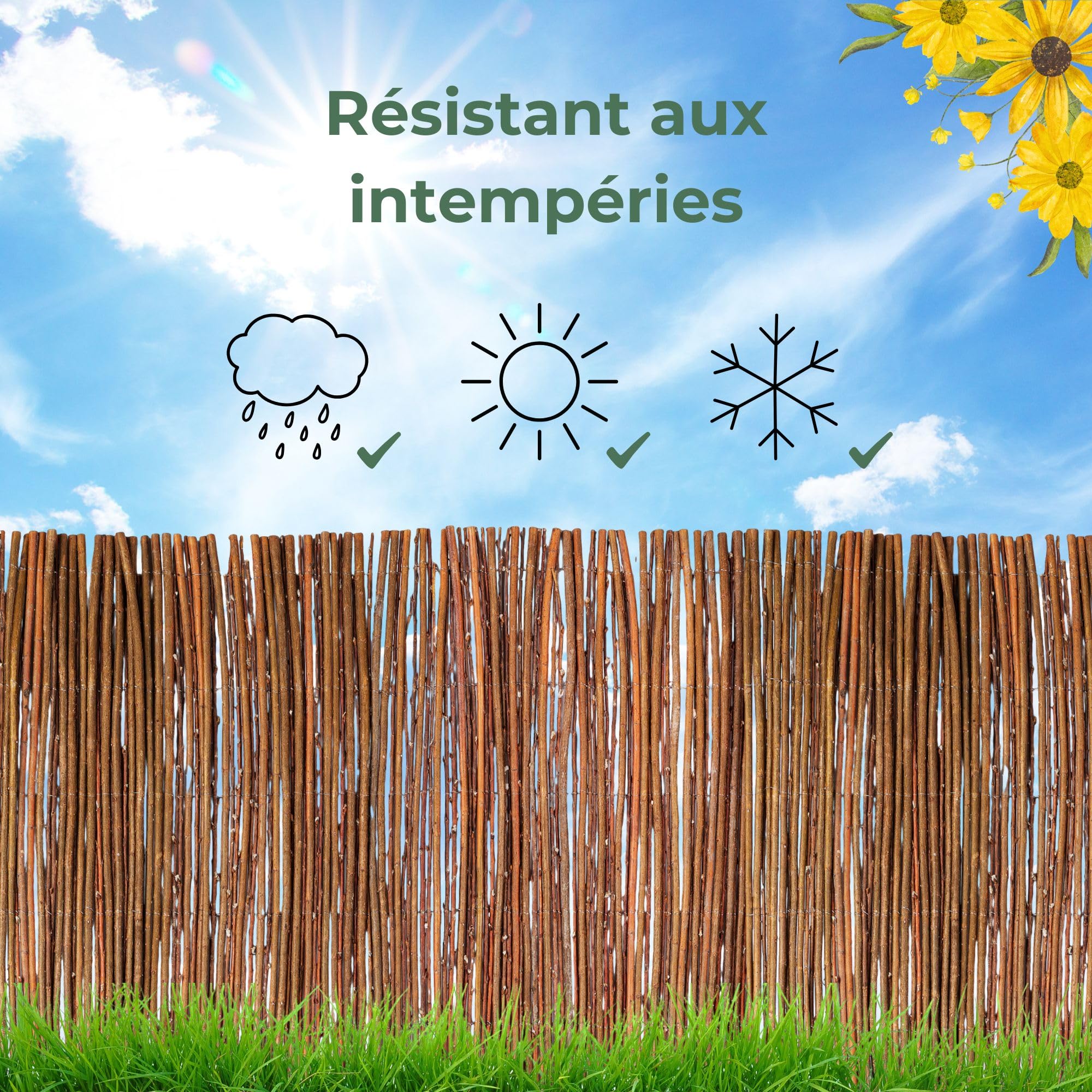 Creative Home Brise-vue en Saule pour Balcon et Terrasse 90 x 300 cm | Clôture Naturelle | Canisse en Saule | Protection Solaire Balcon | Protection contre le Vent | Coupe-Vent Patio