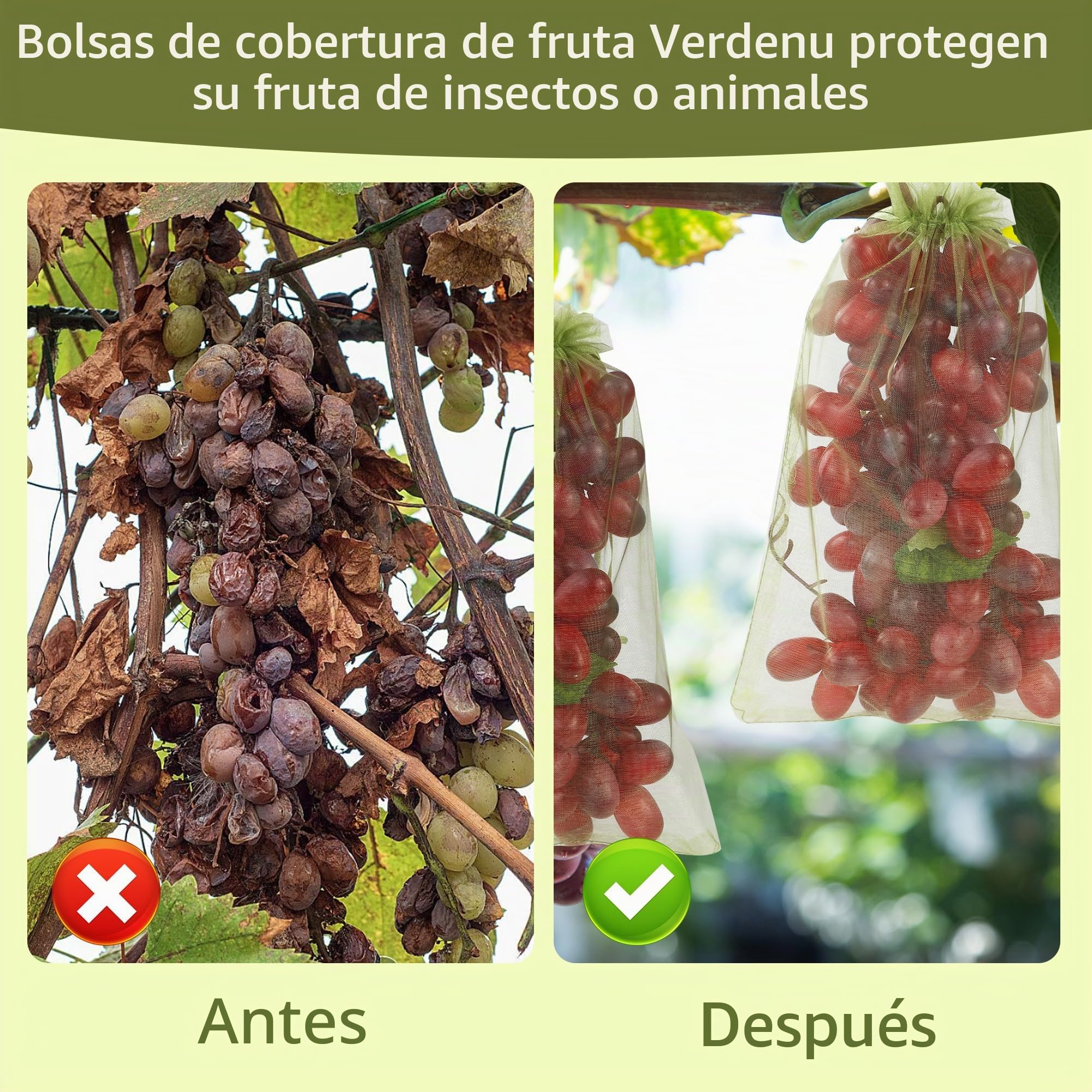 100 Piezas Bolsas Protectoras para Uvas, 20X30cm Cordón Bolsa para Proteger Fruta，Protege contra Avispas, Moscas de la Fruta, Pájaros y Otros Insectos, Verde Militar