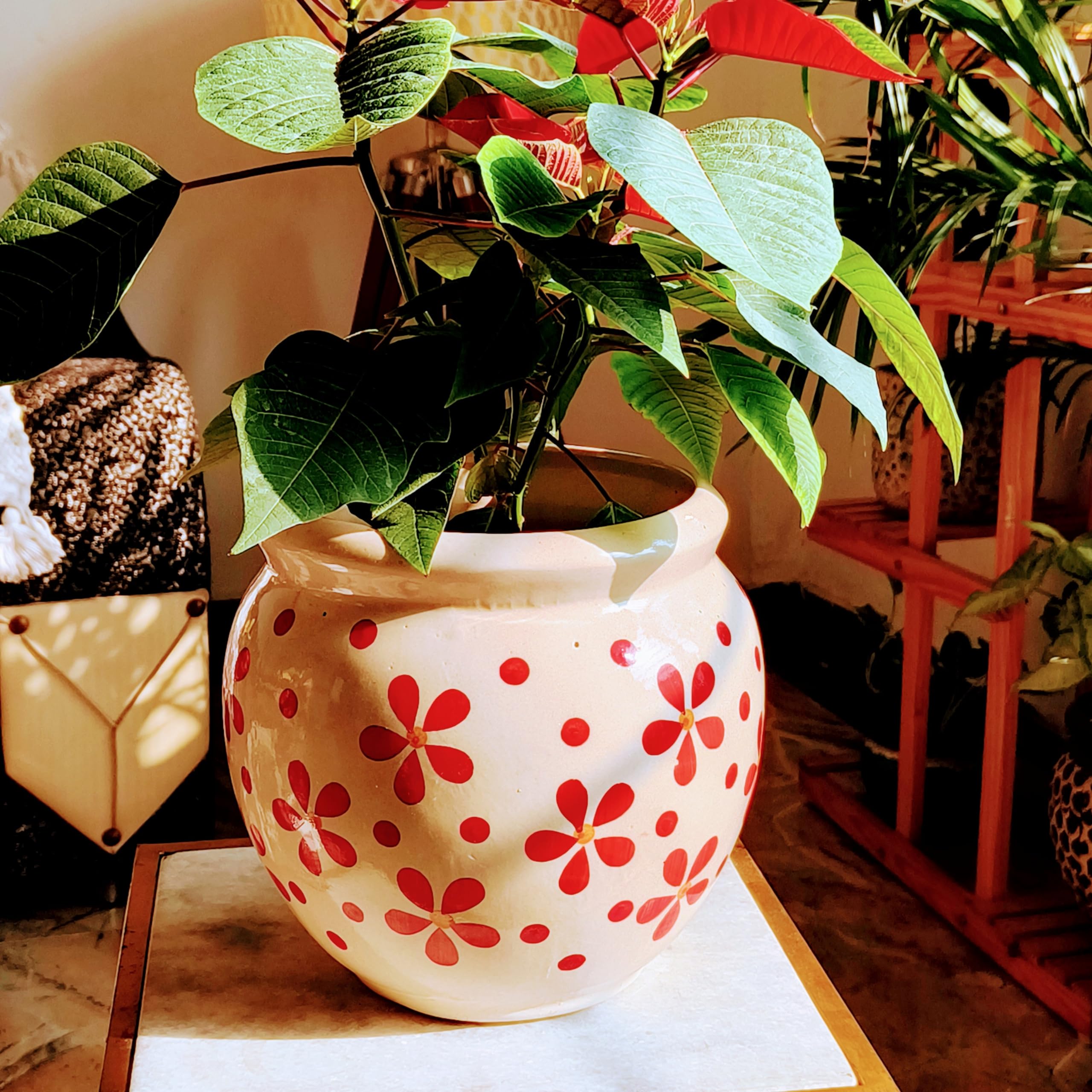 See full amazon price history chart for Niyara Designer Ceramic planters pots for Indoor Outdoor Home, Garden Office Decor Balcony Planters Gamla Flower Size- Large (8 inches) (Red Warmth) Niyara Designer Ceramic planters pots for Indoor Outdoor Home, Garden Office Decor Balcony Planters Gamla Flower Size- Large (8 inches) (Red Warmth) (B0CLYJ3JFJ) Amazon Price History, Amazon Price Tracker