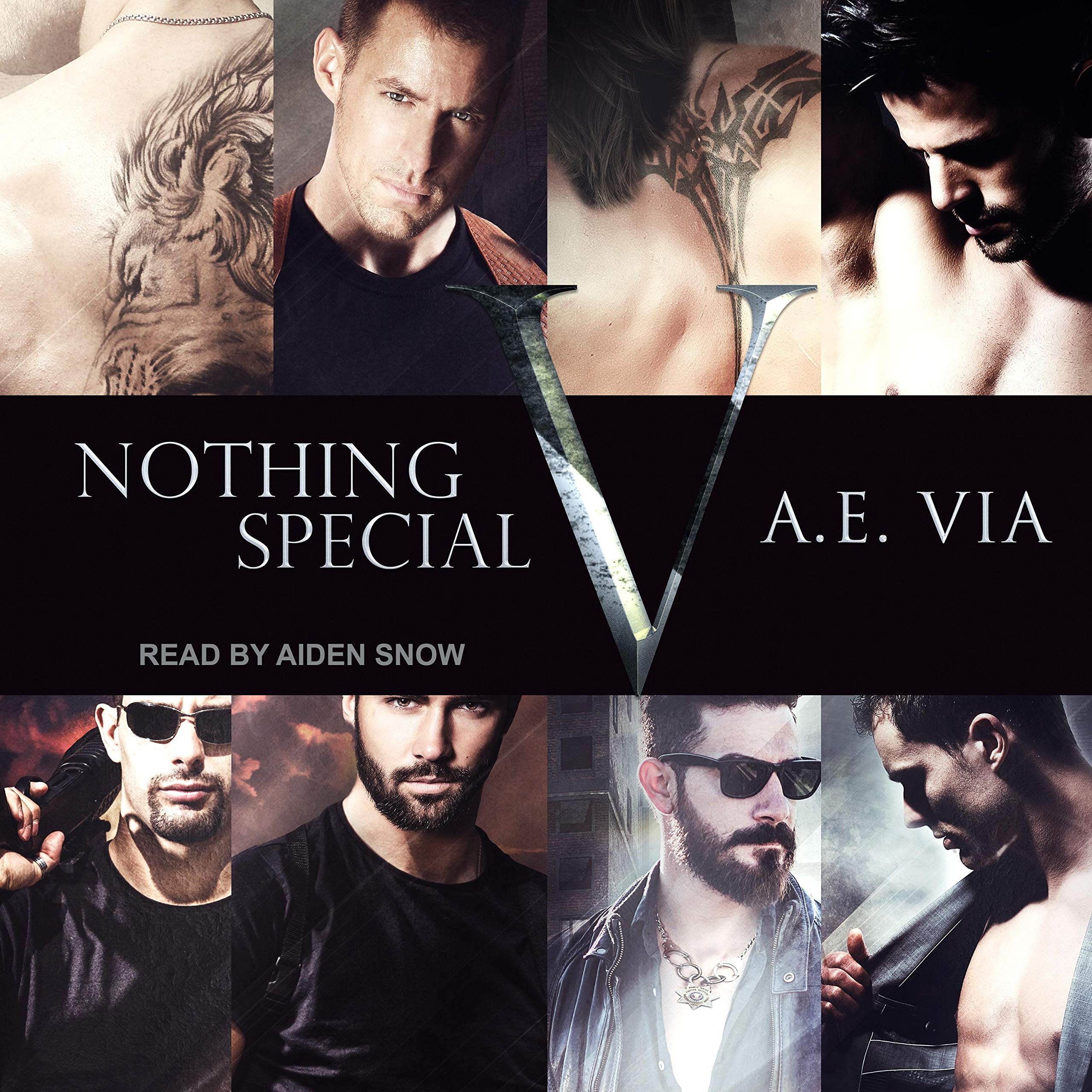 Cover art for Nothing Special V