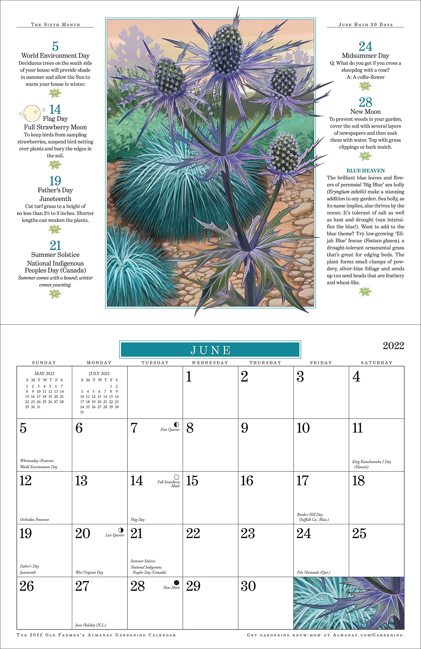 The 2022 Old Farmer's Almanac Gardening Calendar: Old Farmer's Almanac:  9781571988980: Books - Amazon.ca