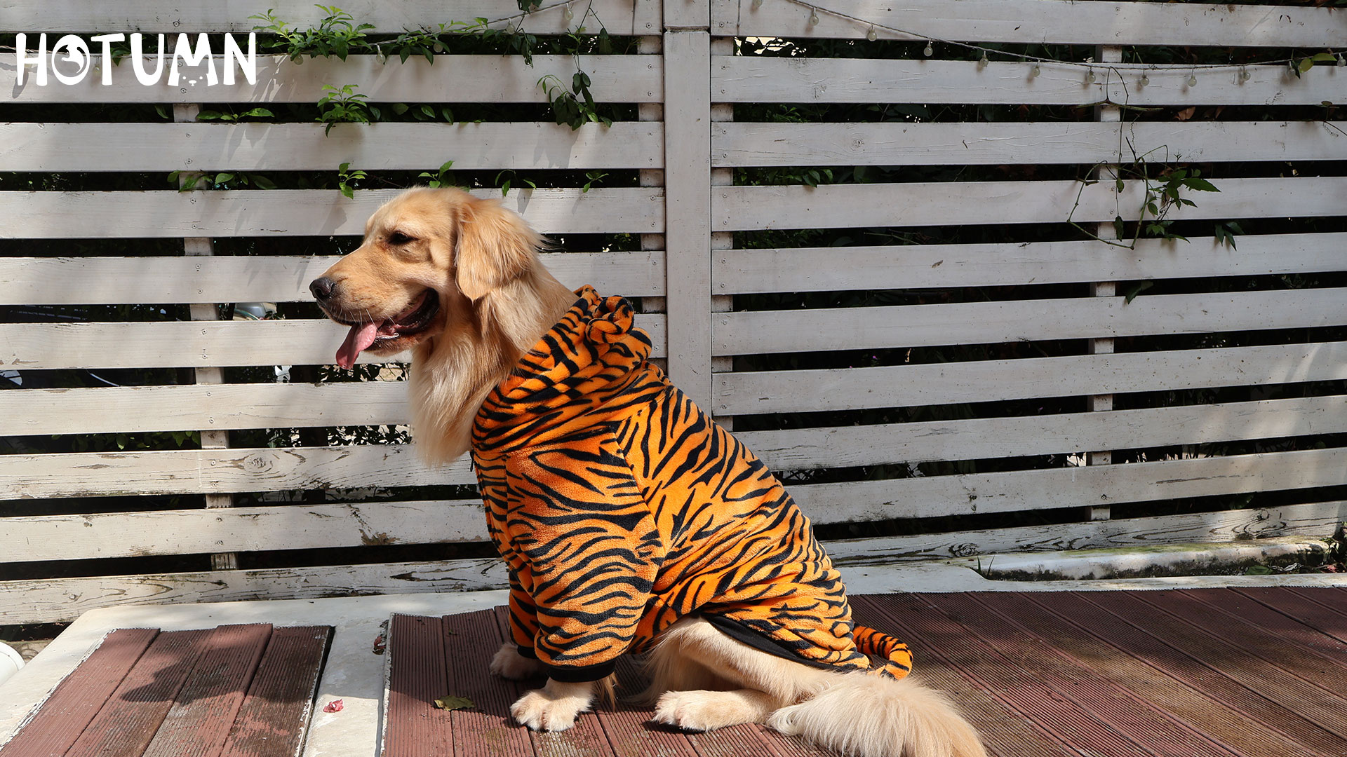 Amazon.com : HOTUMN Large Dog Tiger Costumes - Halloween Dog