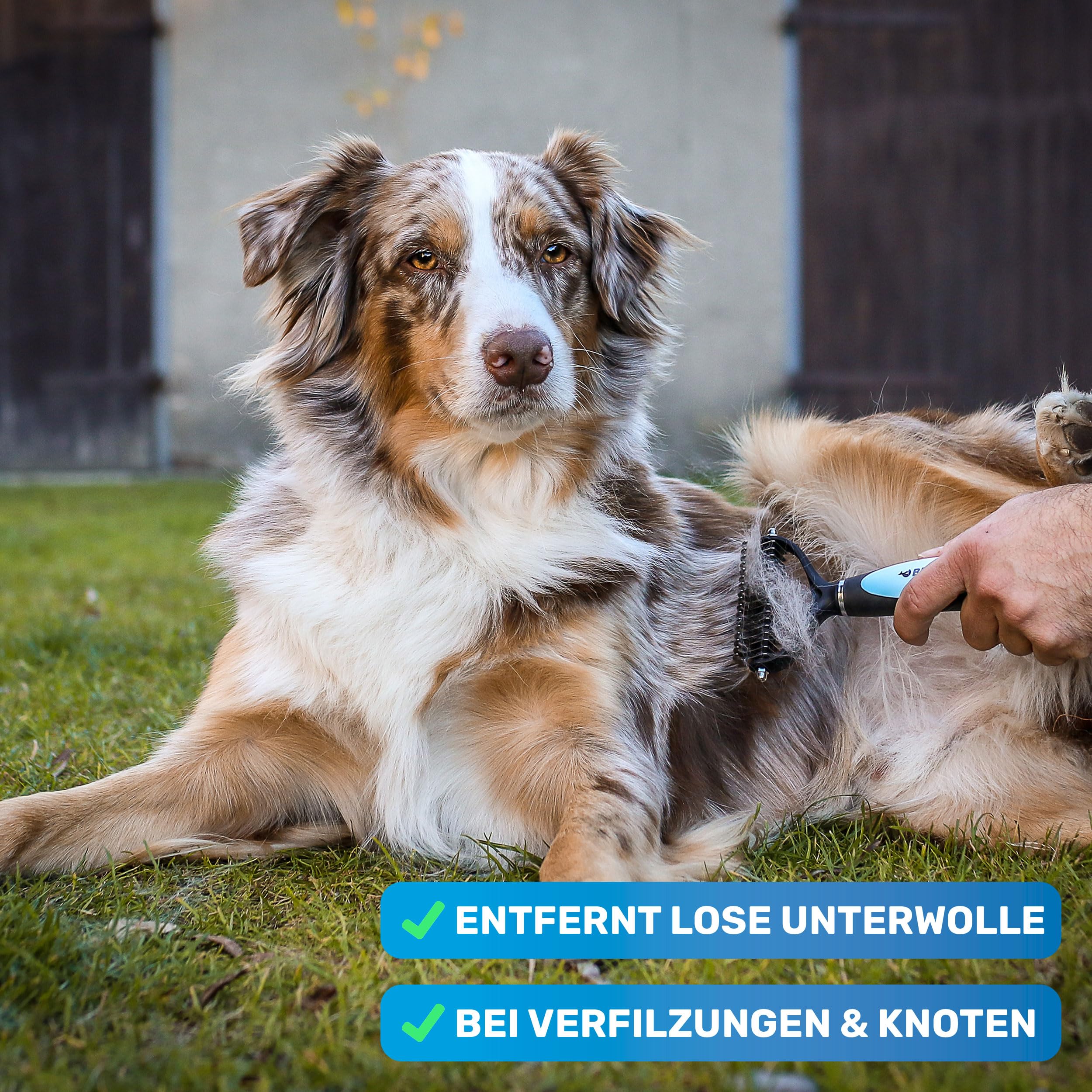 BluePet Hundebürste Unterwolle langhaar & Katzenbürste langhaar I Unterwollkamm entfernt Unterwolle & Verfilzungen I Deckhaarschutz & Knoten Entfernen I Unterfellbürste Hunde für Fellwechsel