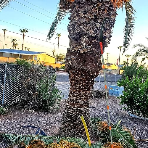 Miniatura 6 de Scalebeard Sierras de poste de 7.8 pies para recortar árboles, juego de cortador manual con poste de extensión largo, herramientas de jardín de