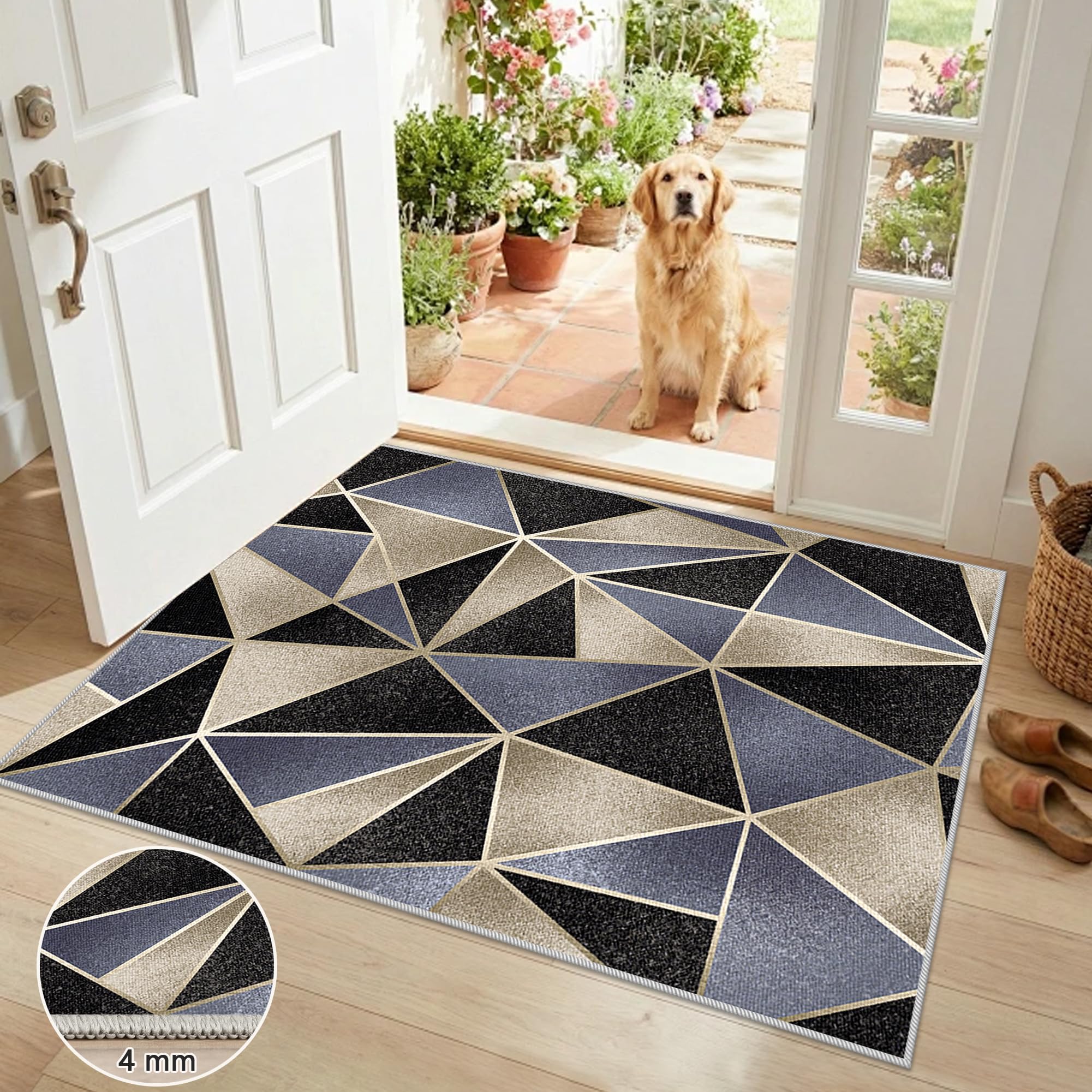 Dywan do salonu Duży Dywan Sypialnia Krótkie włosie Dywan Przedpokój Antypoślizgowy Zmywalny Dywan Do Salonu Kuchni Wejście Wnętrze Nowoczesny Dywan 180 x 210 cm
