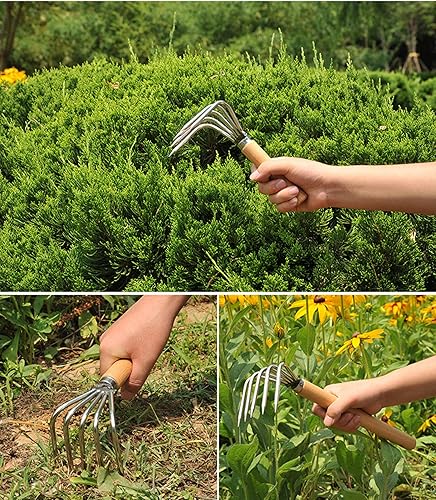 Miniatura 5 de Rastrillo de jardín cultivador de mano herramienta de jardín garra de acero inoxidable con mango de madera, 5 dientes, rastrillo de almeja,