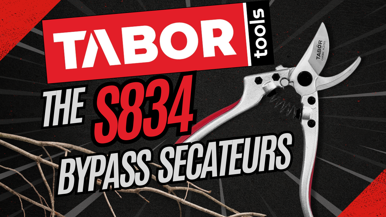 Tijeras de podar TABOR TOOLS S834A acero inoxidable 3/4 pulg miniatura 7