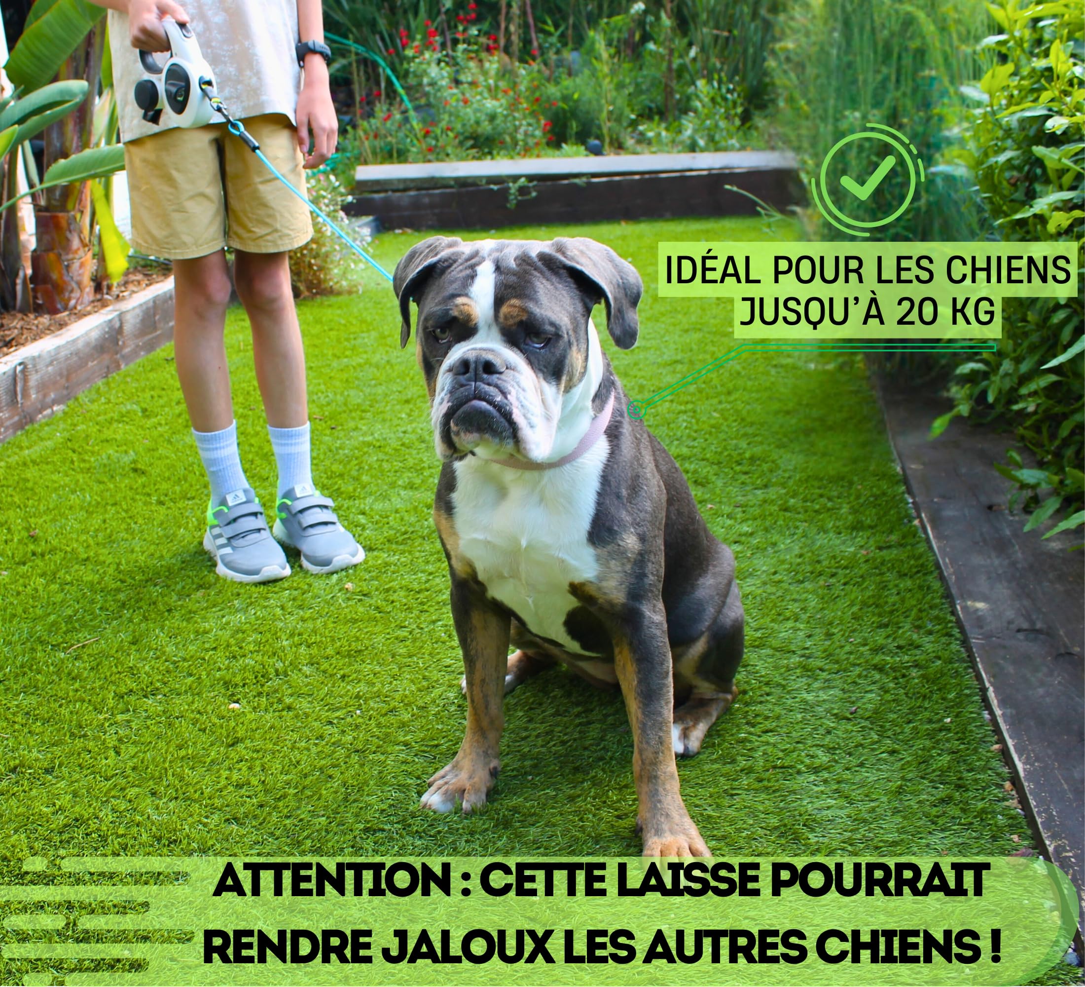 Snuggle Paws Laisse Chien Enrouleur & Rétractable 5m Tout-en-Un : LED Puissante, Distributeur Sacs à Crottes, Câble Anti-Morsure, Bande Réfléchissante | pour Petits Chiens Jusqu’à 20kg