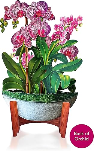 Miniatura 6 de Freshcut Paper Tarjetas desplegables, oasis de orquídeas, ramo de flores de tamaño real de 12 pulgadas, tarjeta de felicitación emergente 3D,