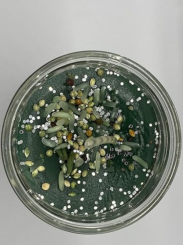 Vista 2 de San José