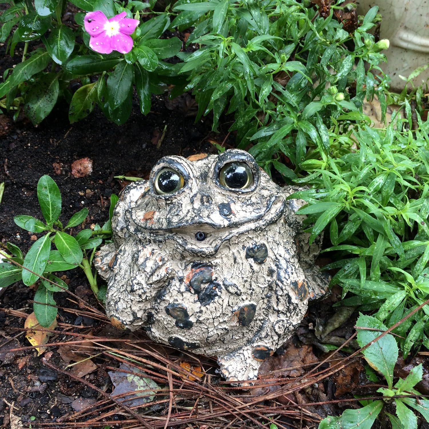 Toad Hollow "Romeo Motion Activated Whistling Toad Statue 6", Natural Brown Frog
